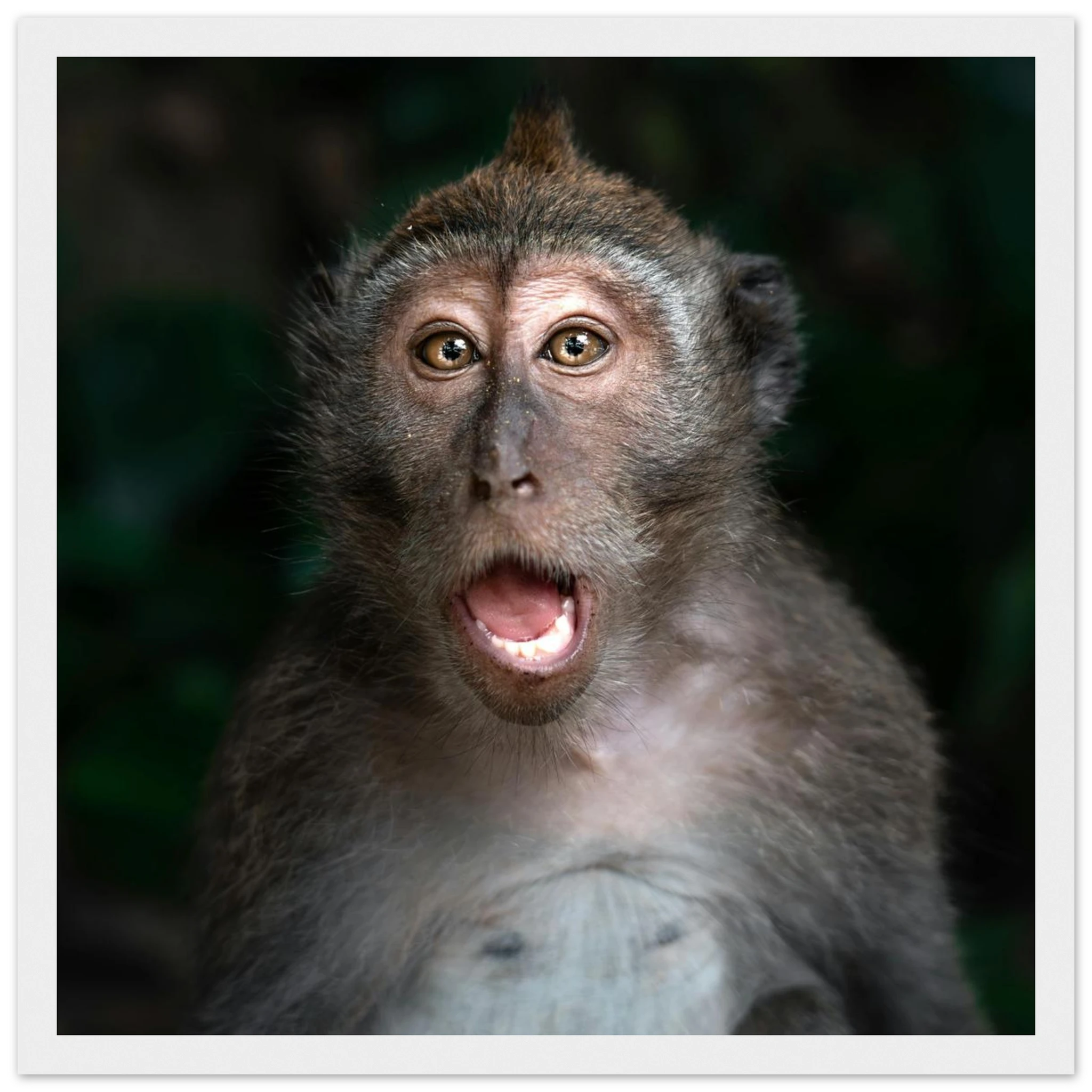 19ea281a-daf6-40f9-9f2c-e5af79aa31e7