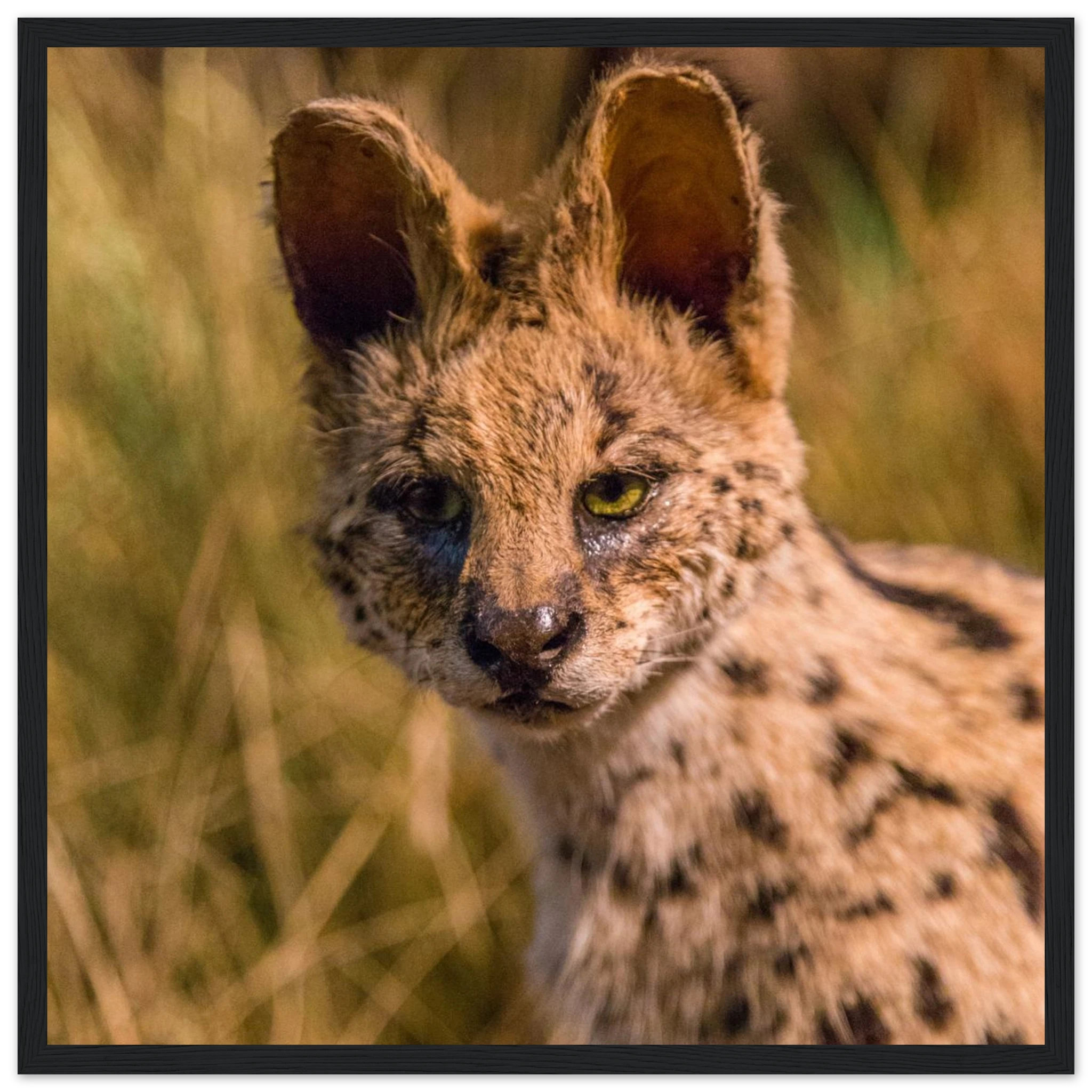 1a484741-5120-44cb-8c3a-76e8d1637c3d