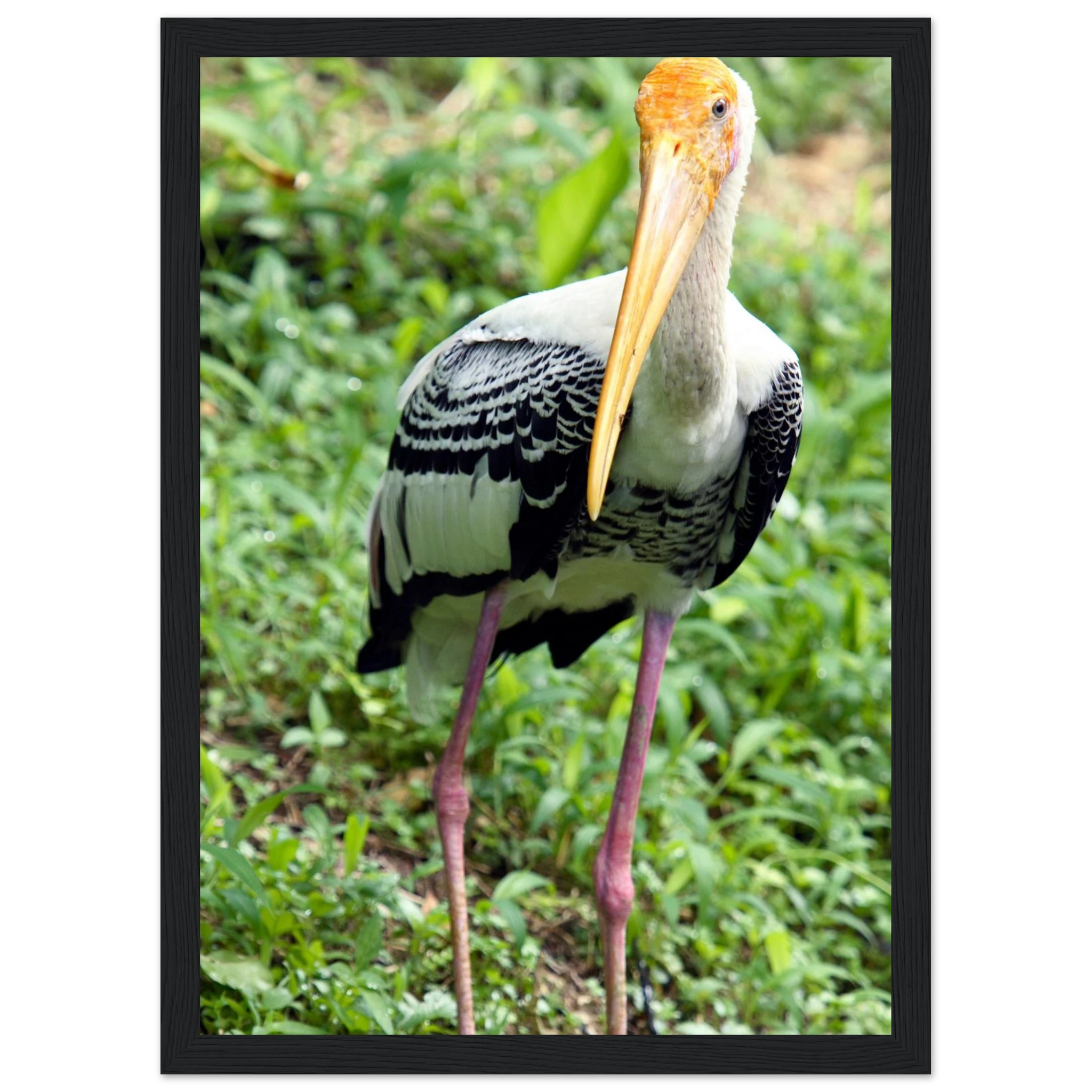 1a6cb081-a78c-4445-b6ec-51f20f18fead