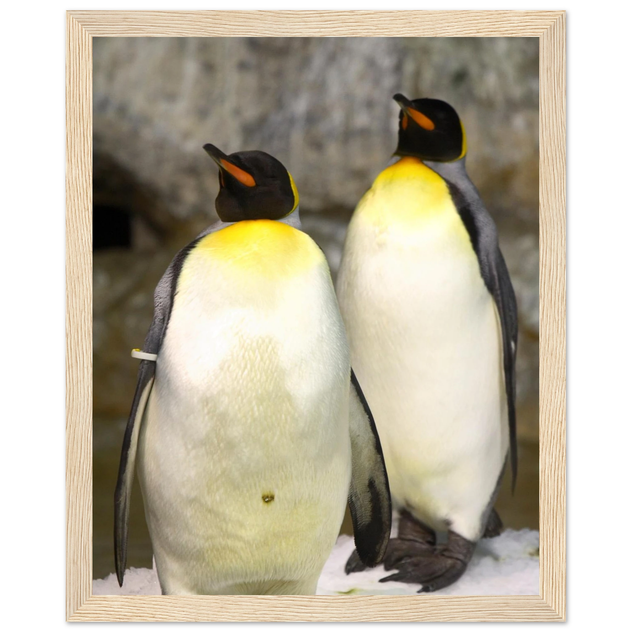 1a77109d-329d-47b0-8565-2d4ee4757da1