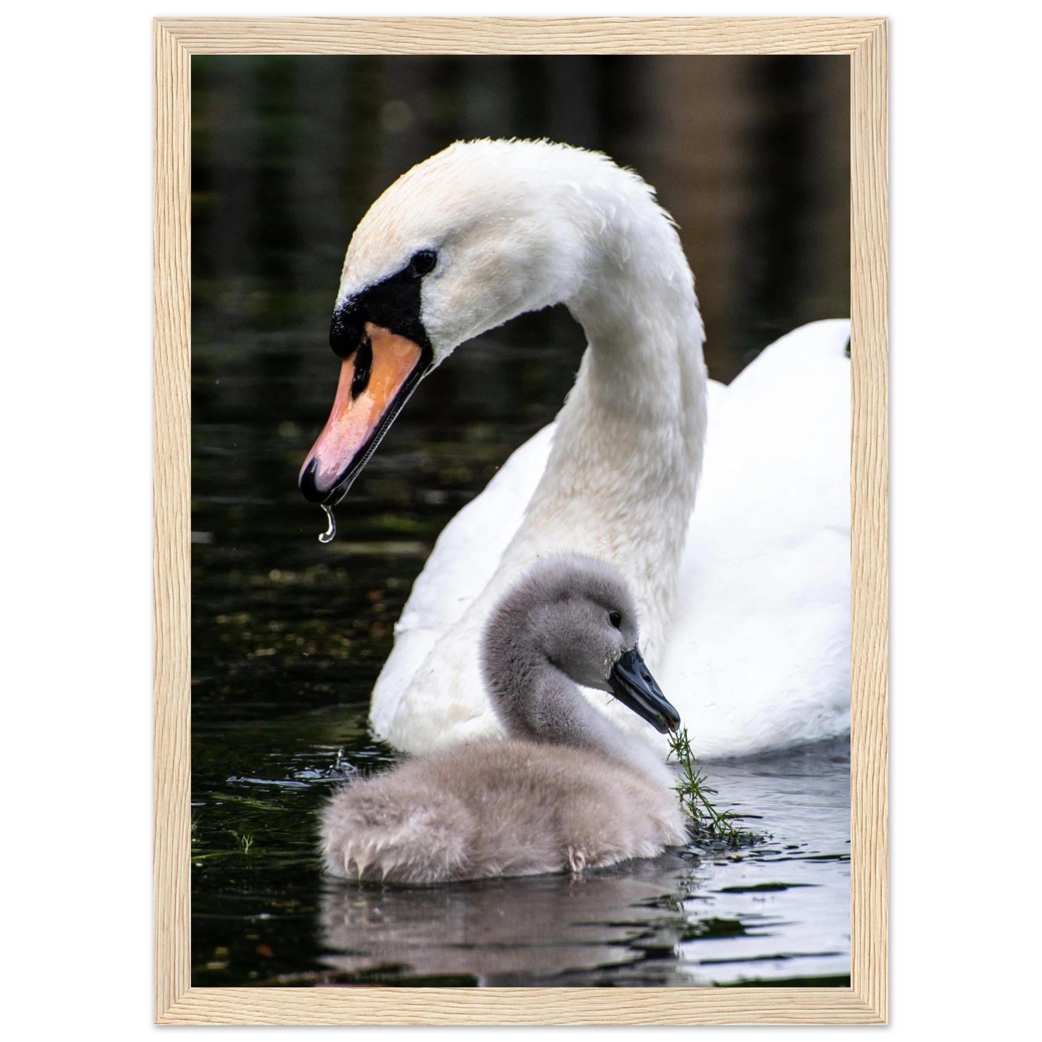 1a86dfc5-cc46-41c4-98c1-f8d8aea5a463