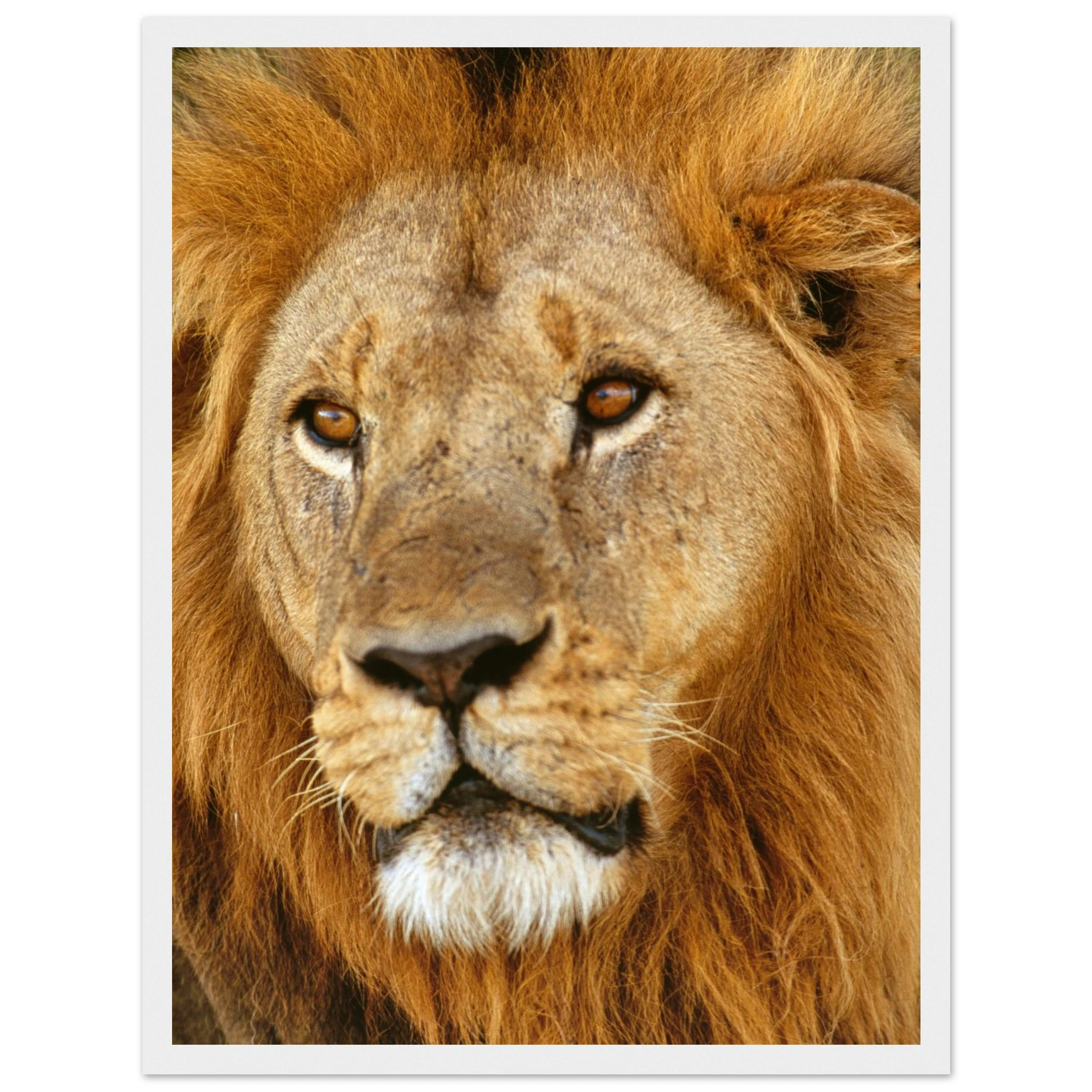 1a88e9be-be7f-4349-aa7f-7306fbf6a1b4