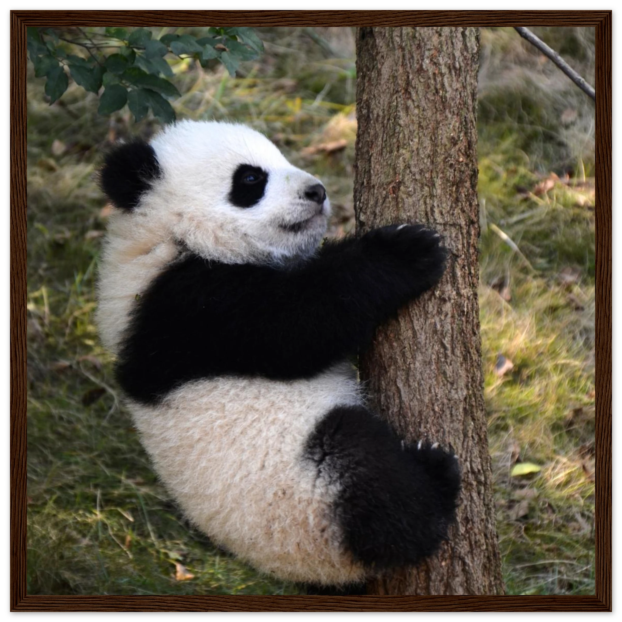 1a8a5914-2bf0-4a15-be4e-726995083cf3