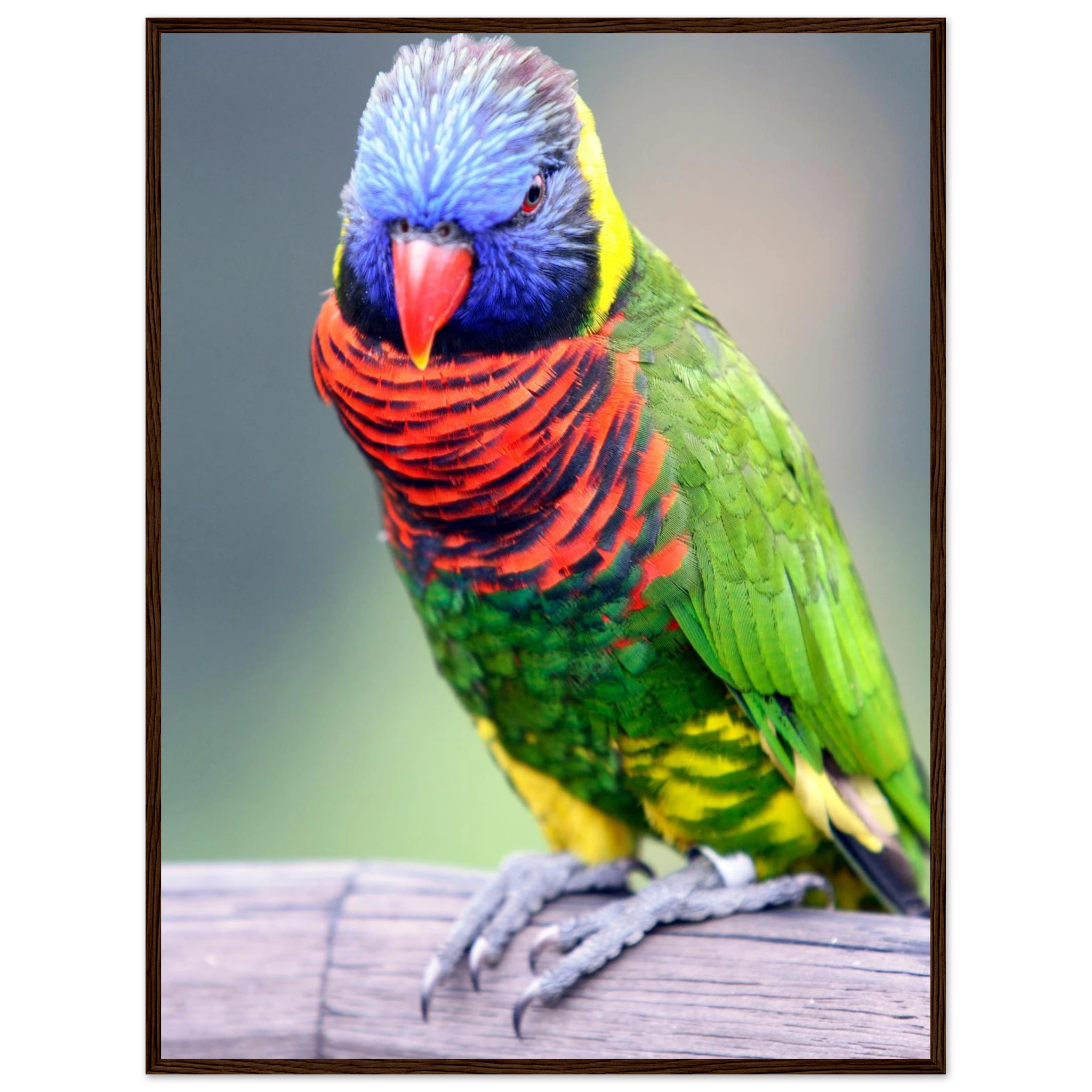 1a9219f7-7a2b-4124-8d5c-3ff5716aa3ad