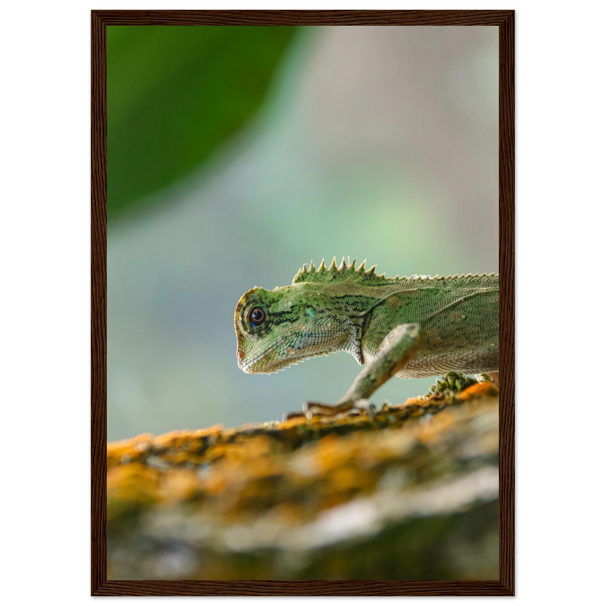 1aa1104e-8085-45de-8da6-dd62a4422fc0