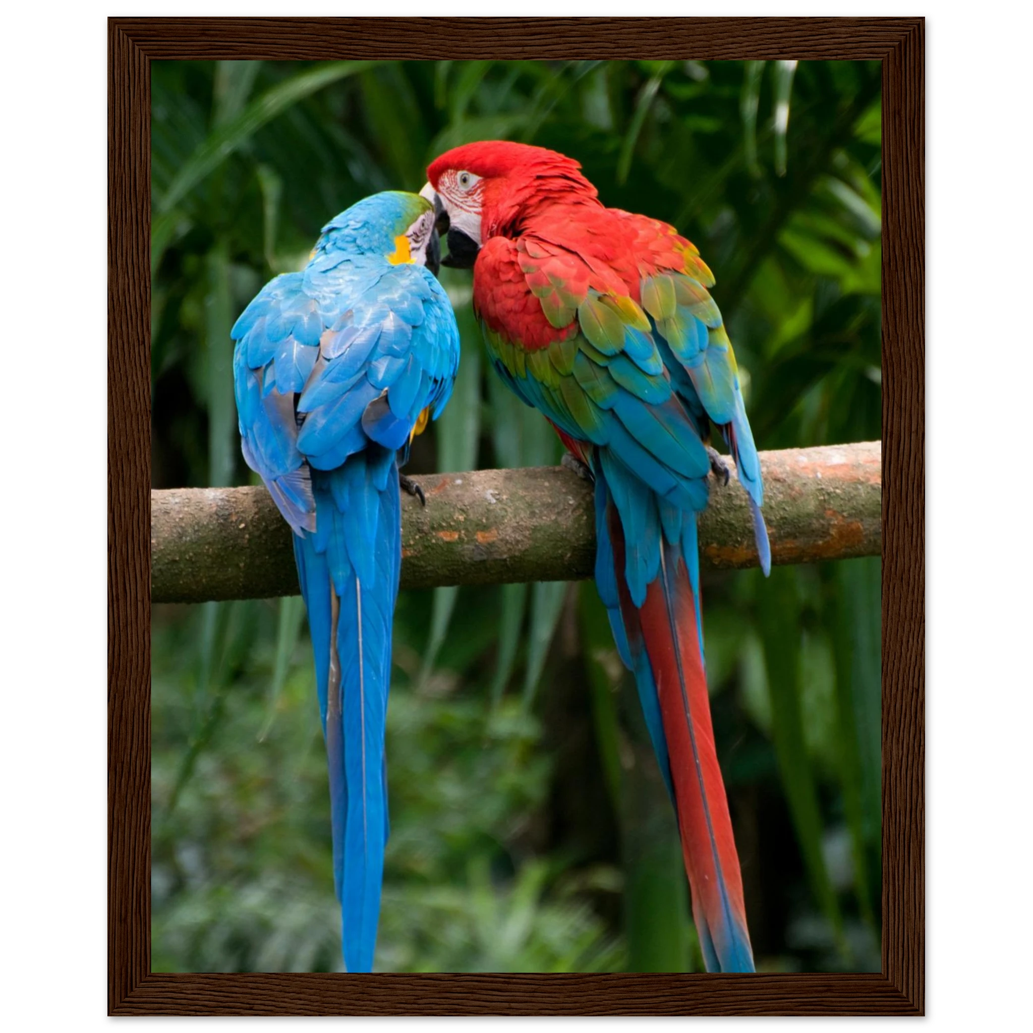 1ad622f3-3274-41dc-89ce-fbb643d32ea7