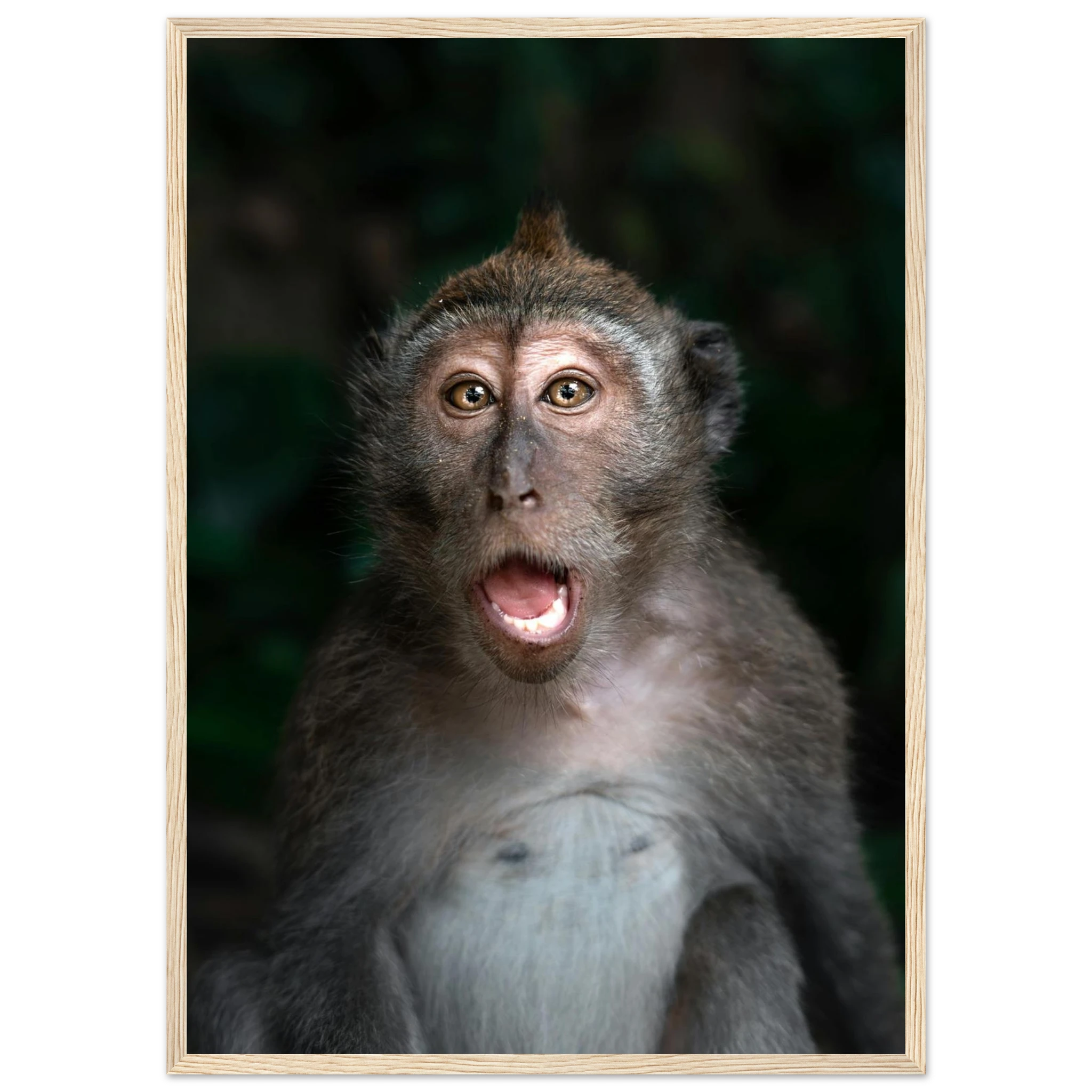 1adefe81-cfa0-465b-be50-f3319ef9c3c3