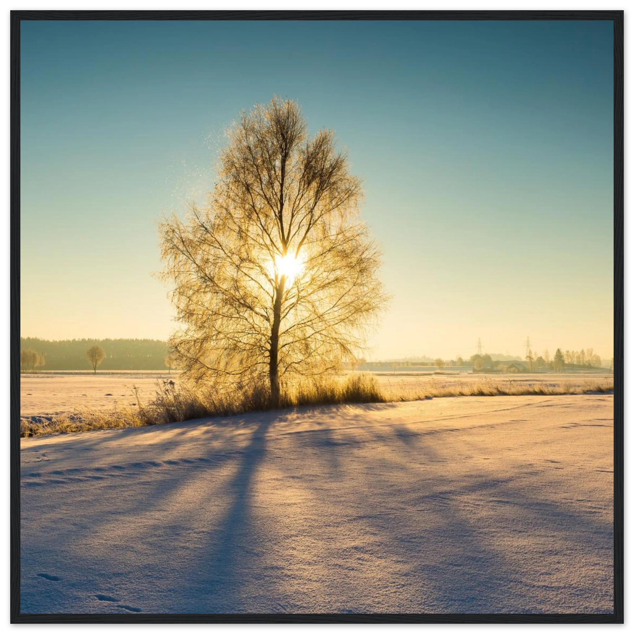 1af151f5-0de9-442d-9894-6c78ad8d52b4