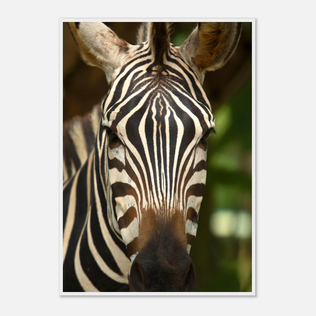 1b25f7aa-1bf9-4f26-ae64-3bb33ce83697