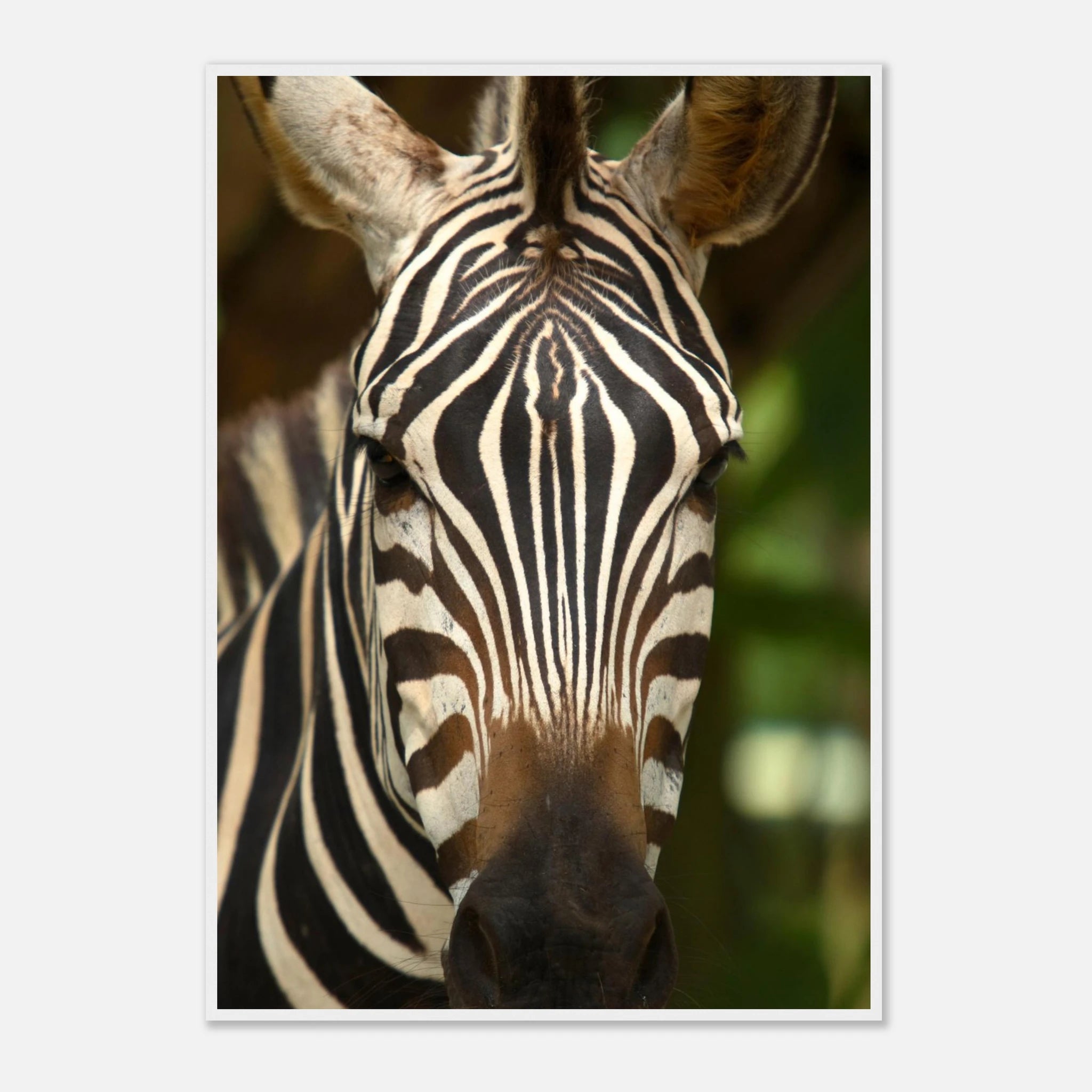 1b25f7aa-1bf9-4f26-ae64-3bb33ce83697