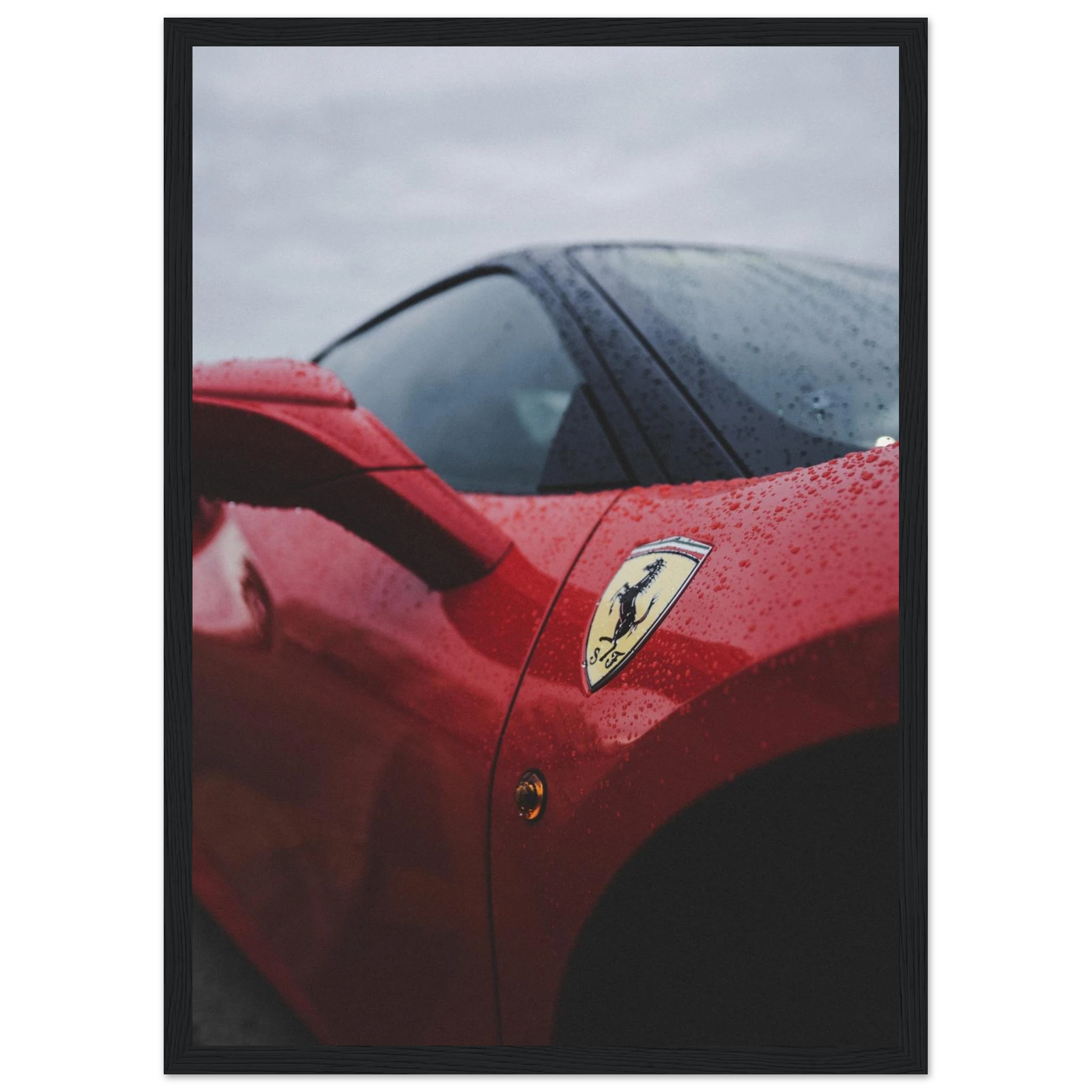 1b288694-e419-42e9-b5e4-6881b8d0b617