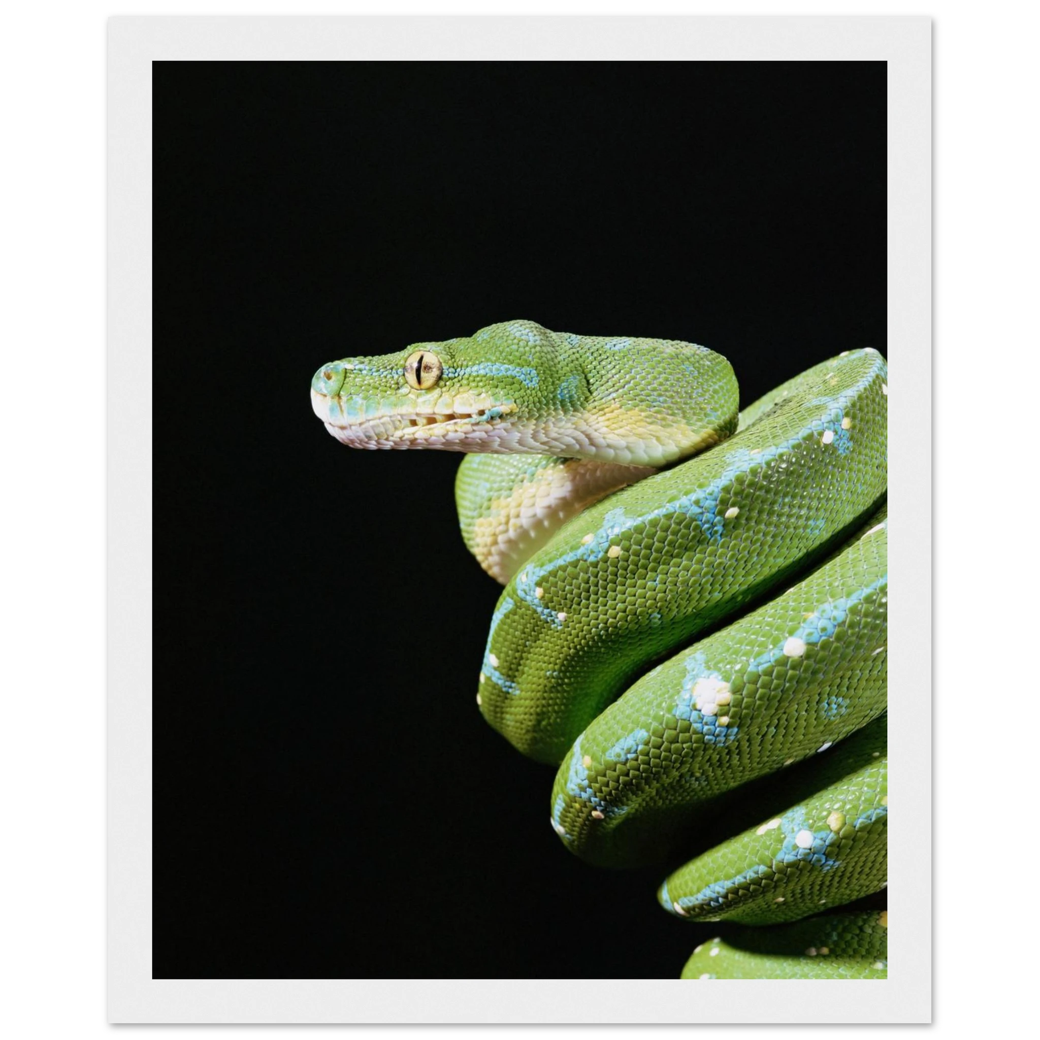 1b3de28a-2220-4c3d-9625-2c7c1a7e6601