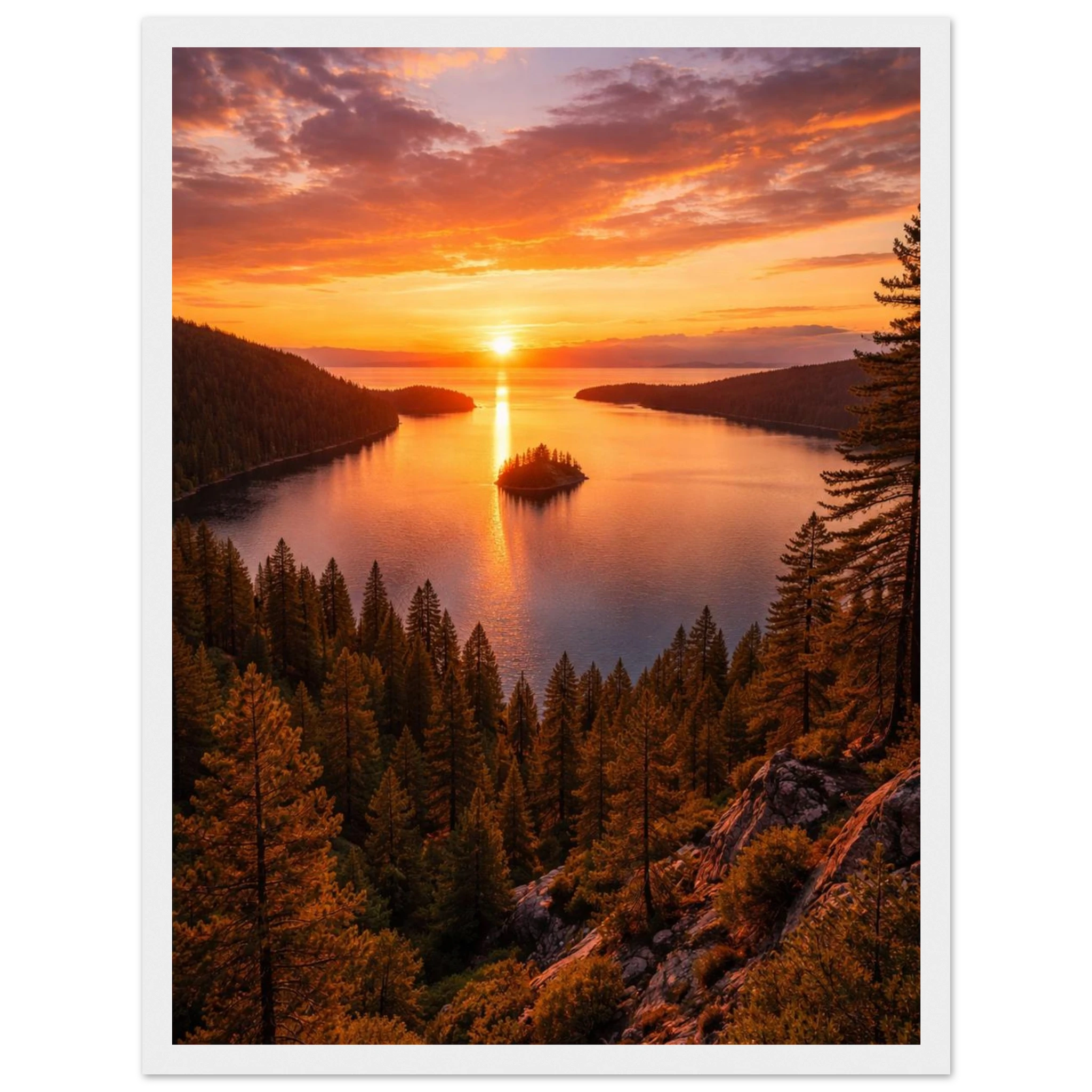 1b497c91-e107-4ff2-86f5-8e88f09e94d6