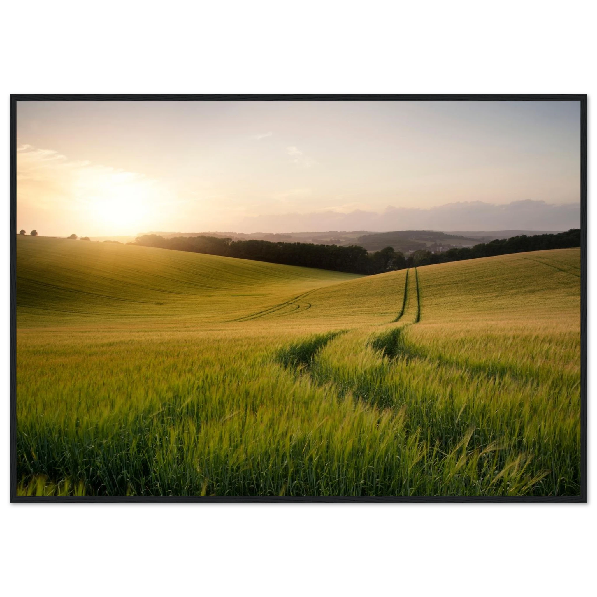 1b5dc6a9-4258-424f-aae0-7dba7eef8c31