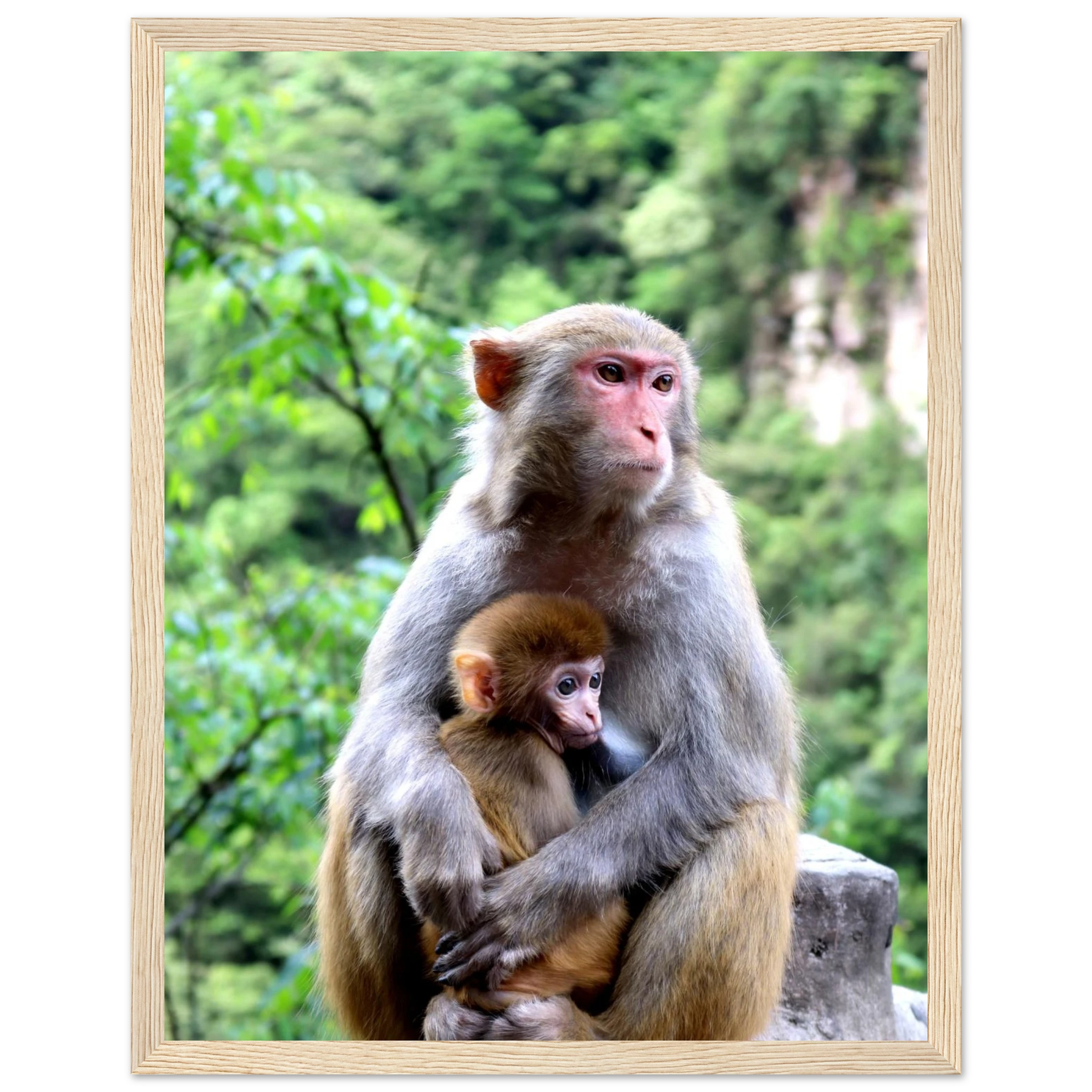 1b672ddf-e5e9-40b0-9db9-1a2e4c864f5e