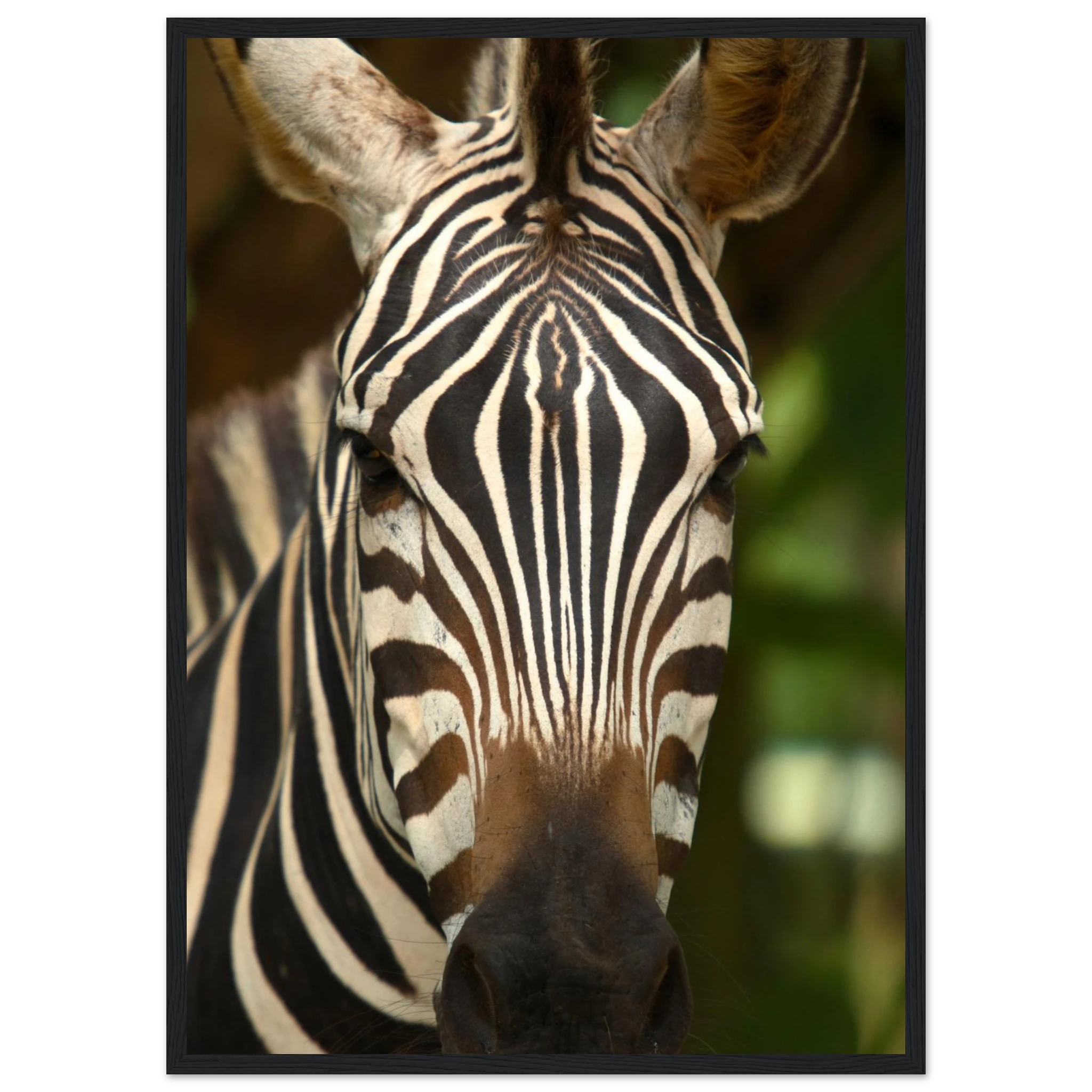 1b683569-628d-47dc-b945-16ab6970ed21