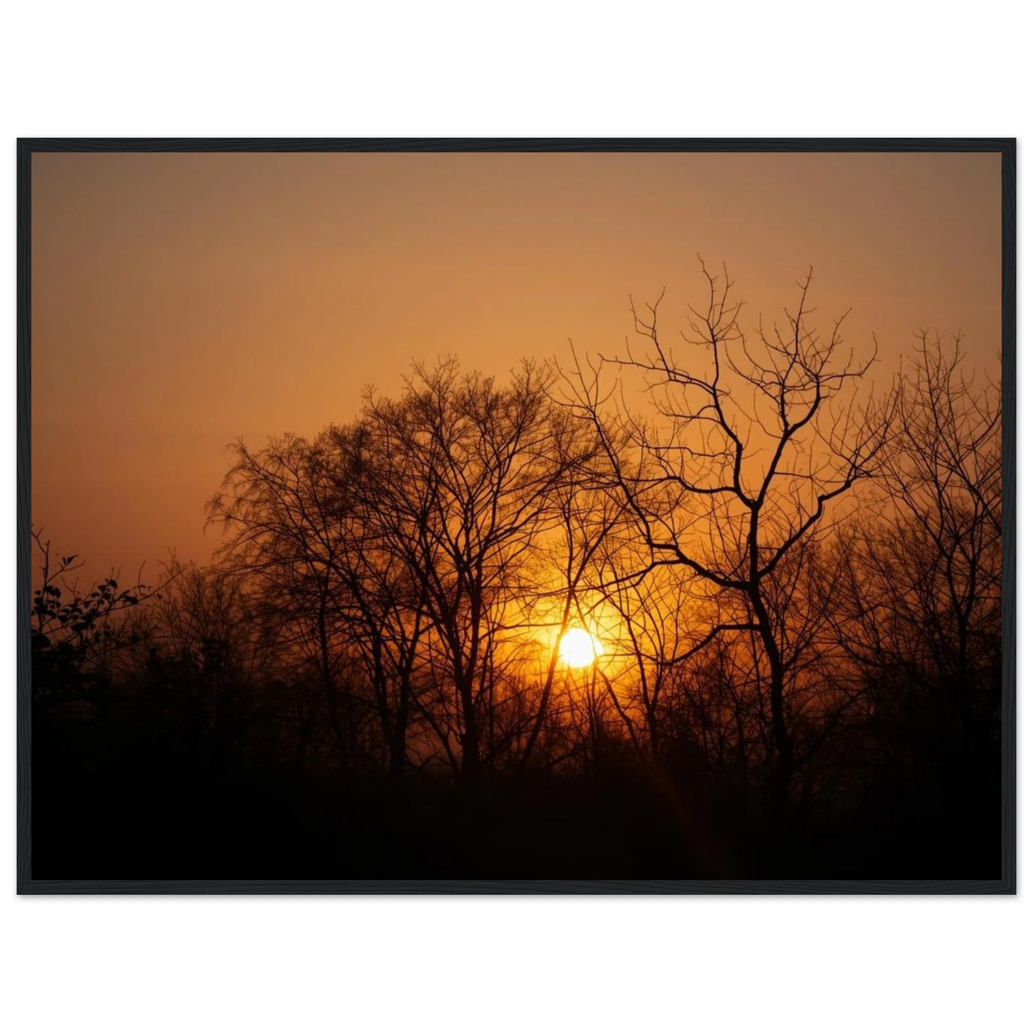 1b68f8e8-f2fd-41c2-8e88-e946c8446bea