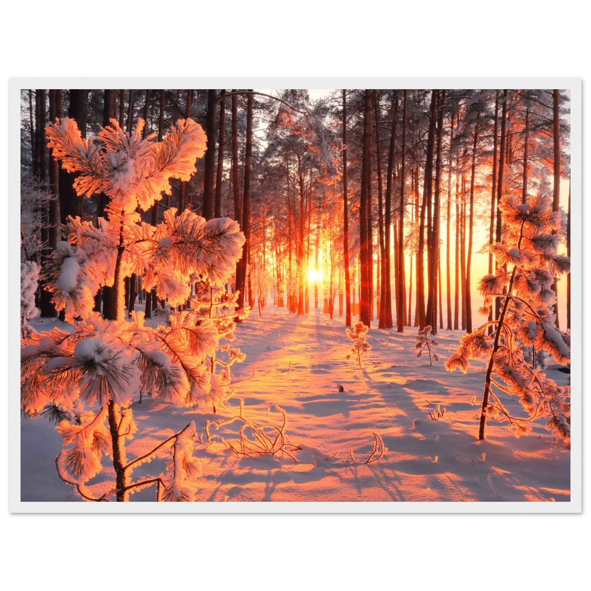 1b70463a-875f-4644-869c-66c2f7133ec5