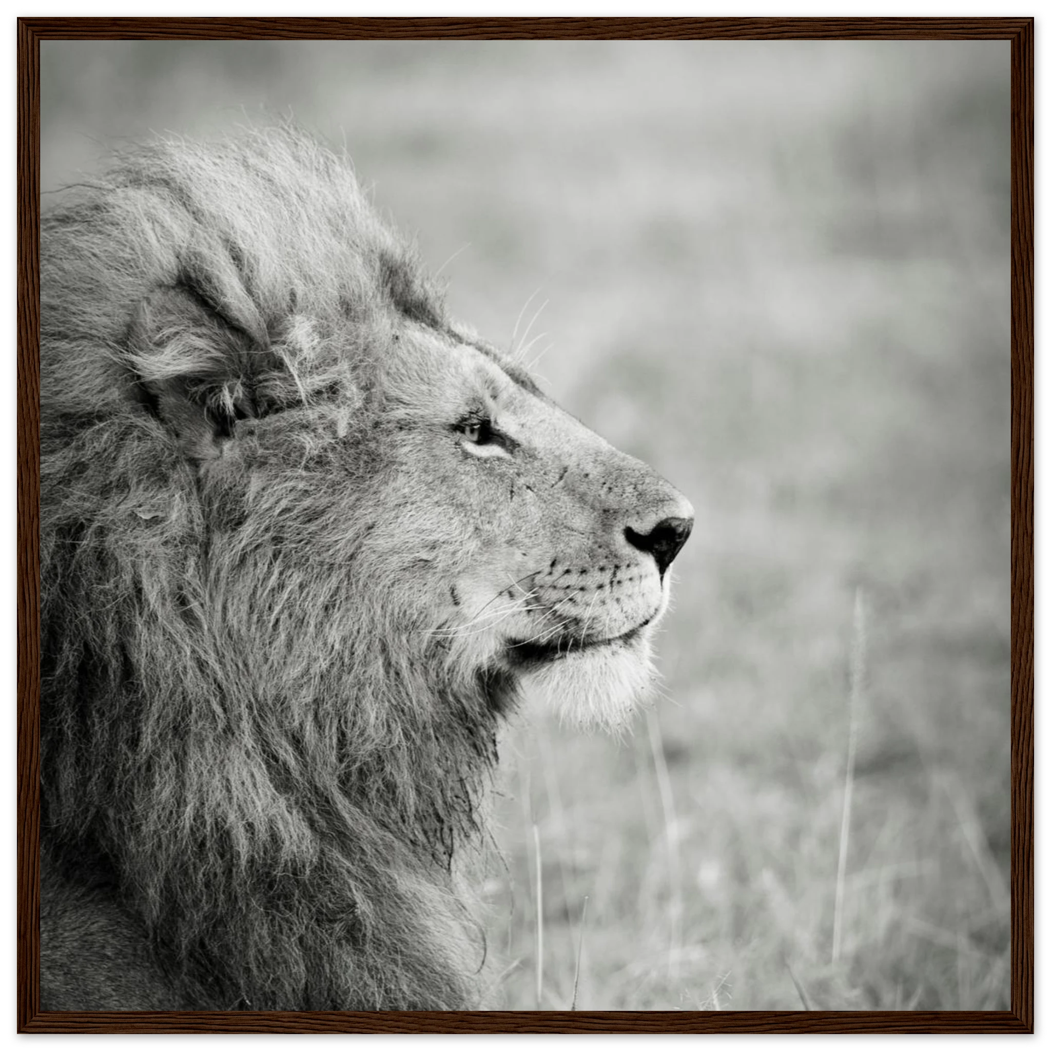 1b759eb6-f8c6-44ca-8db6-f1302ee0901d