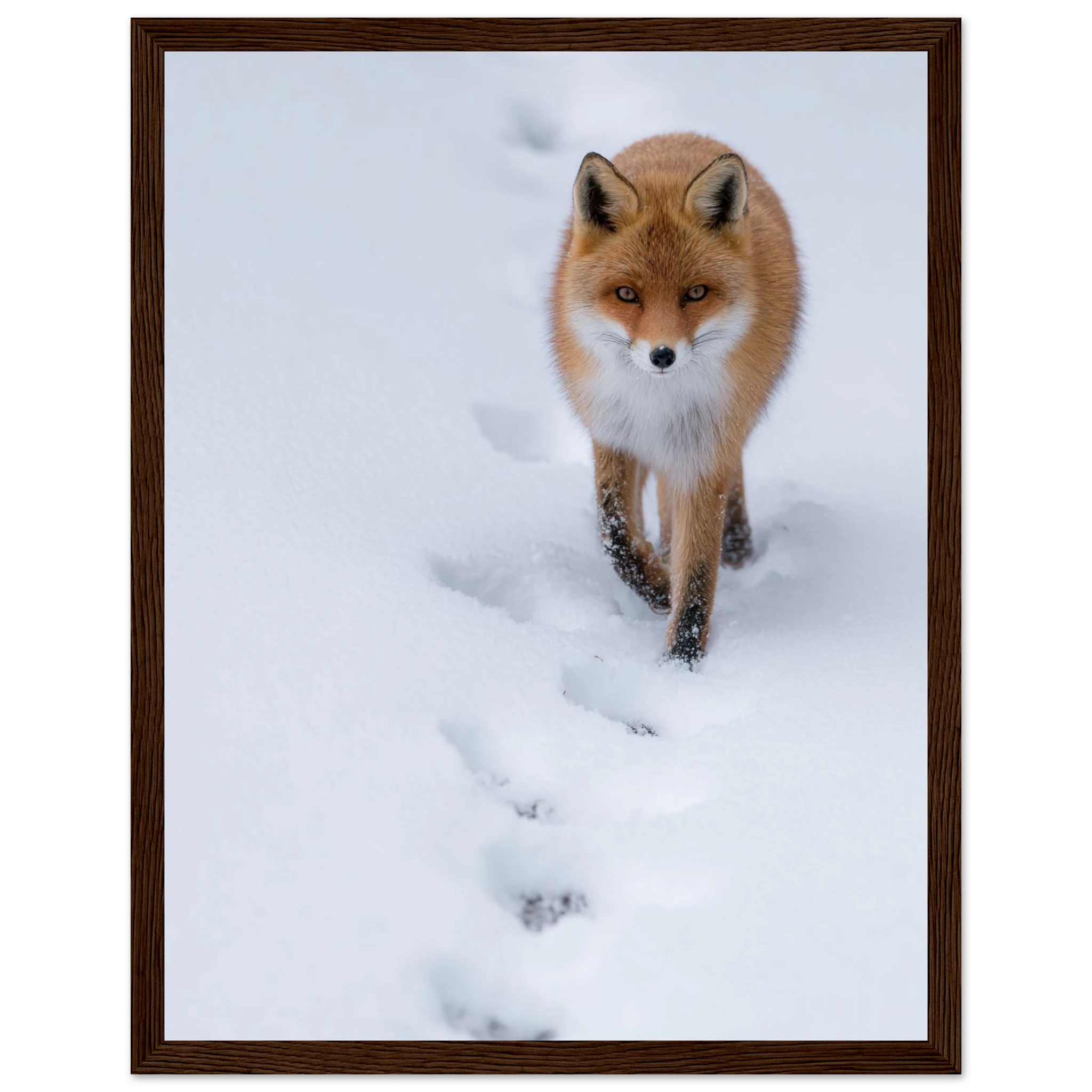 1ba25bf1-3a21-4ce6-a17a-02945fbaf10c