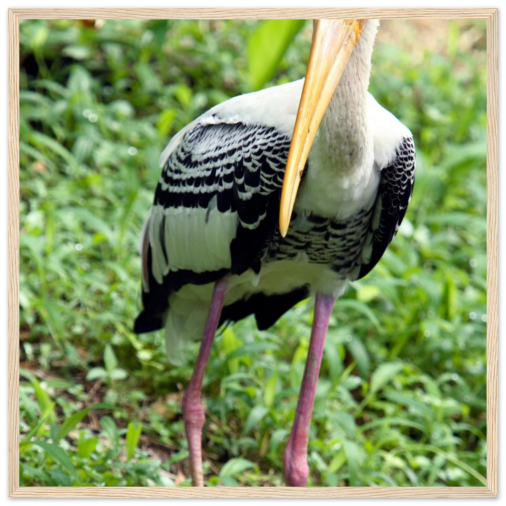 1bd6511e-986e-4272-9a3b-bea628214417