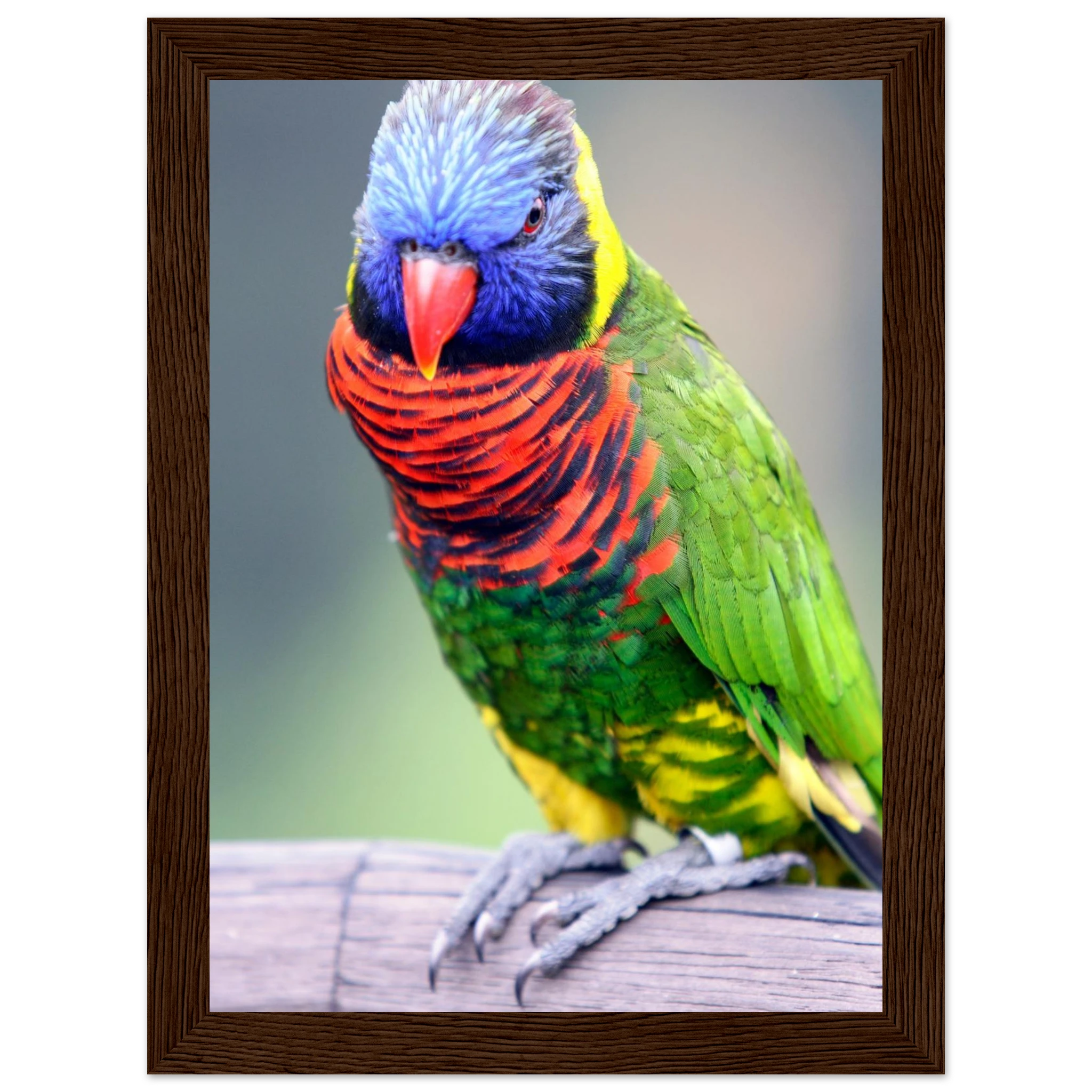 1be2ecc2-99e5-4631-a7d6-77ecb640922d