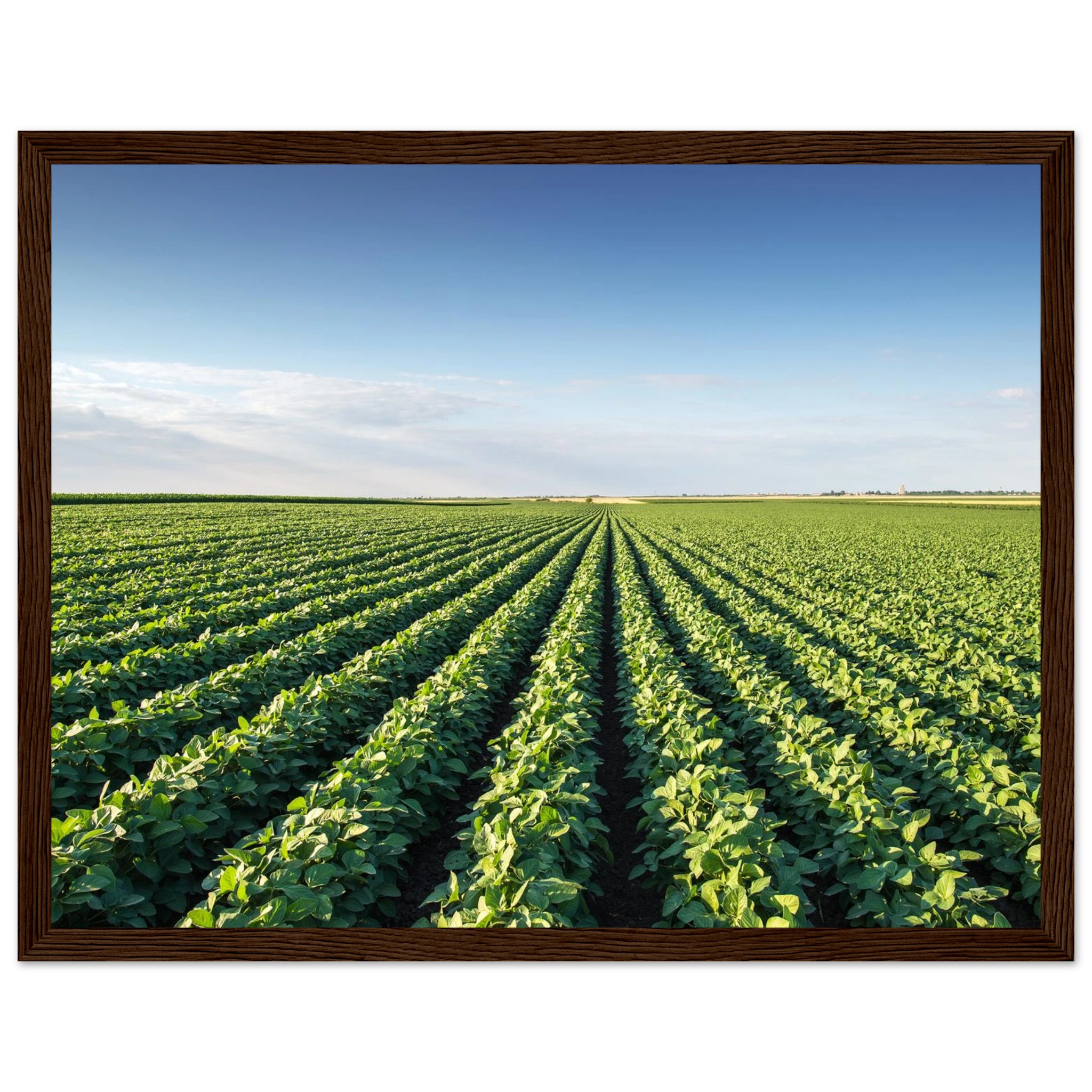 1bea3c18-3448-4951-8b6e-117d9b6e76a5