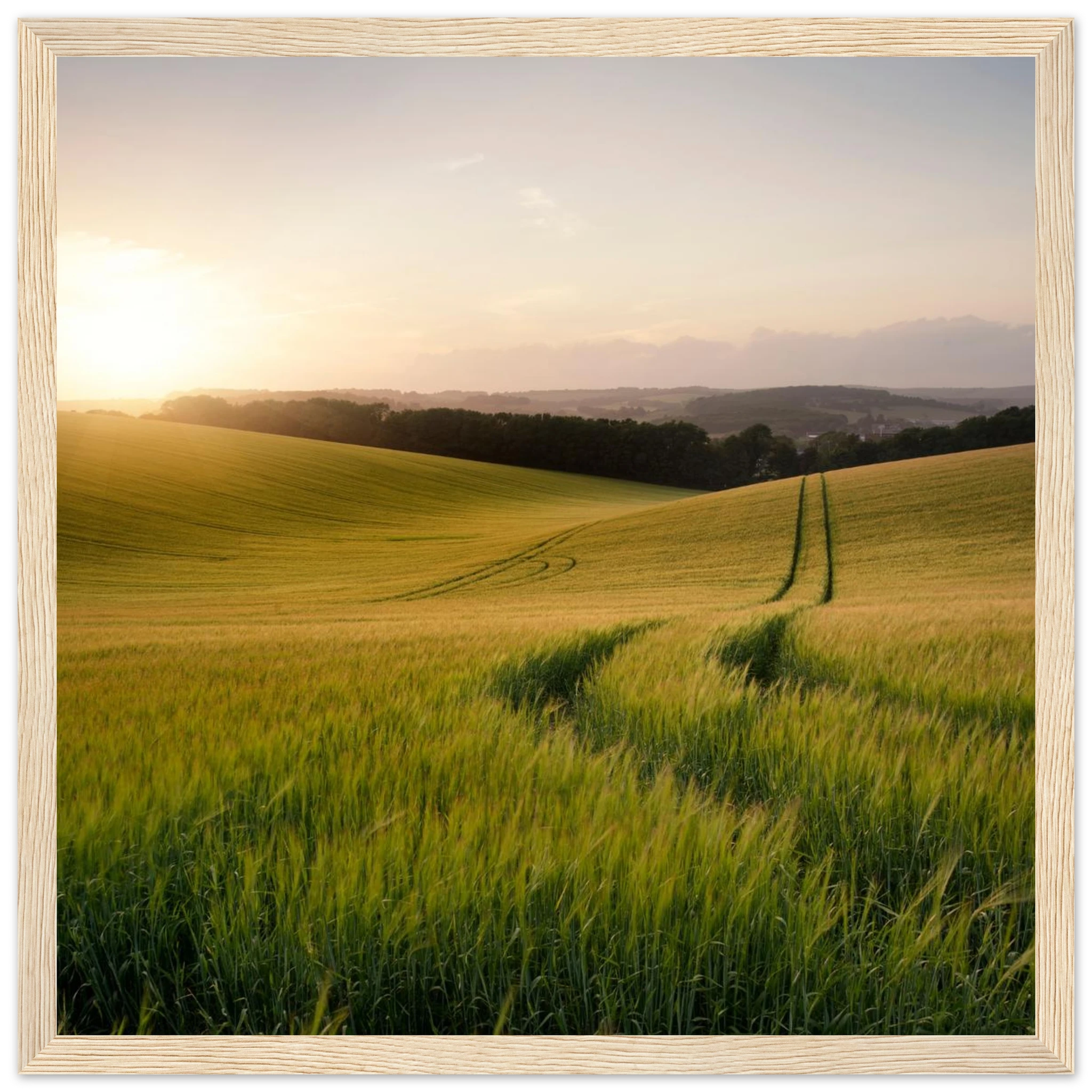 1bfb2a67-dc03-4753-8954-f71f6657f2d7