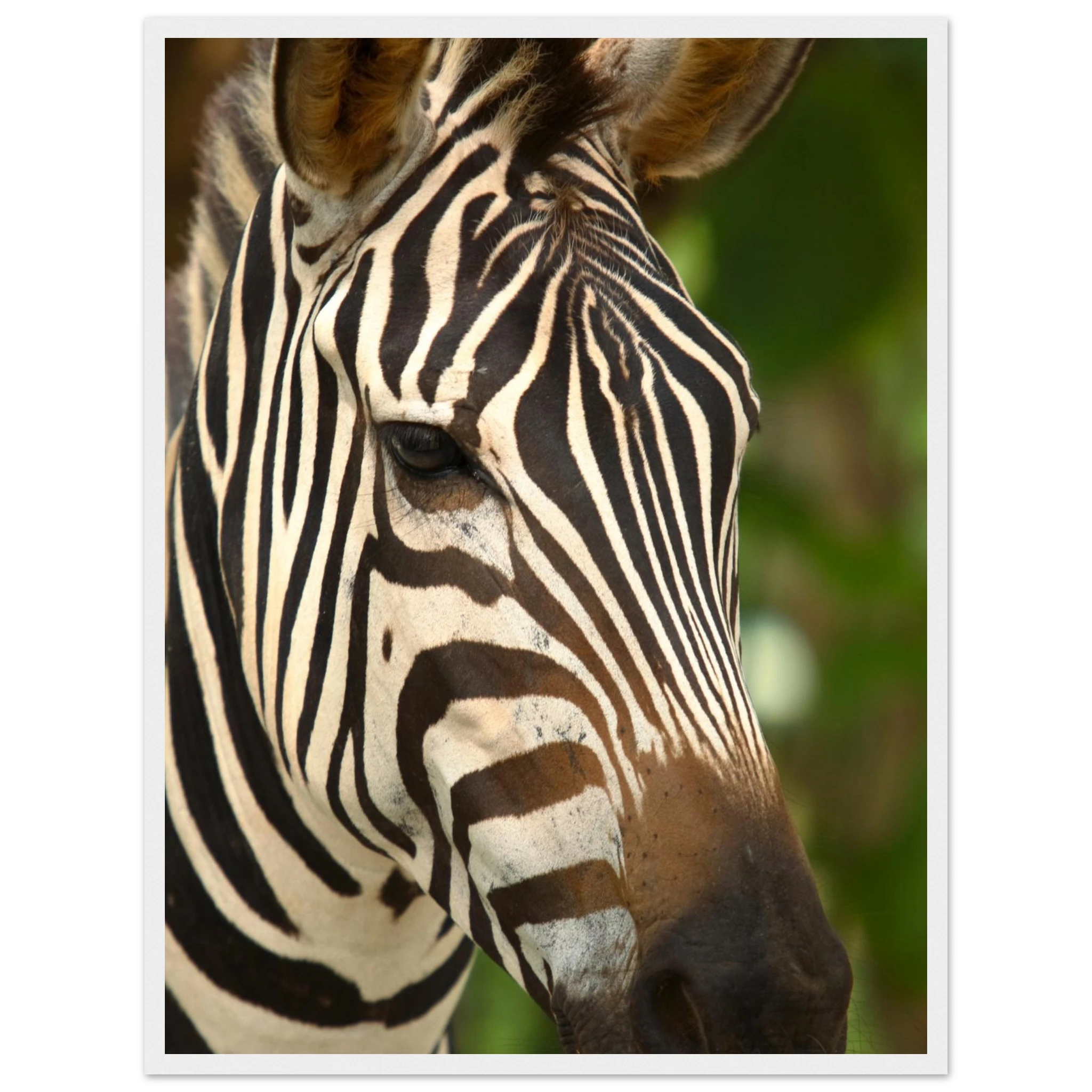 1bfbe87e-a6fe-4a2c-9552-91259c603dbc