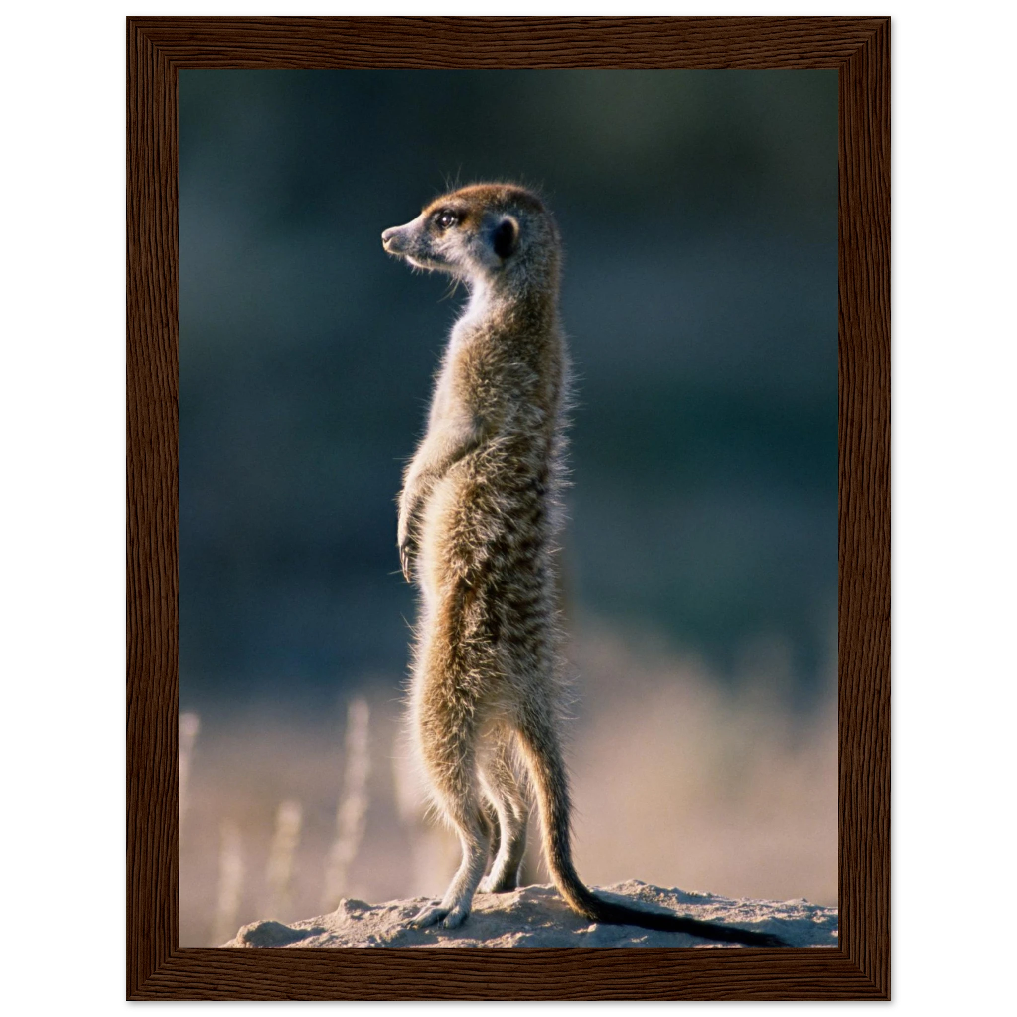 1c01ecb0-d6e5-49b7-9491-1f8319df5c2f