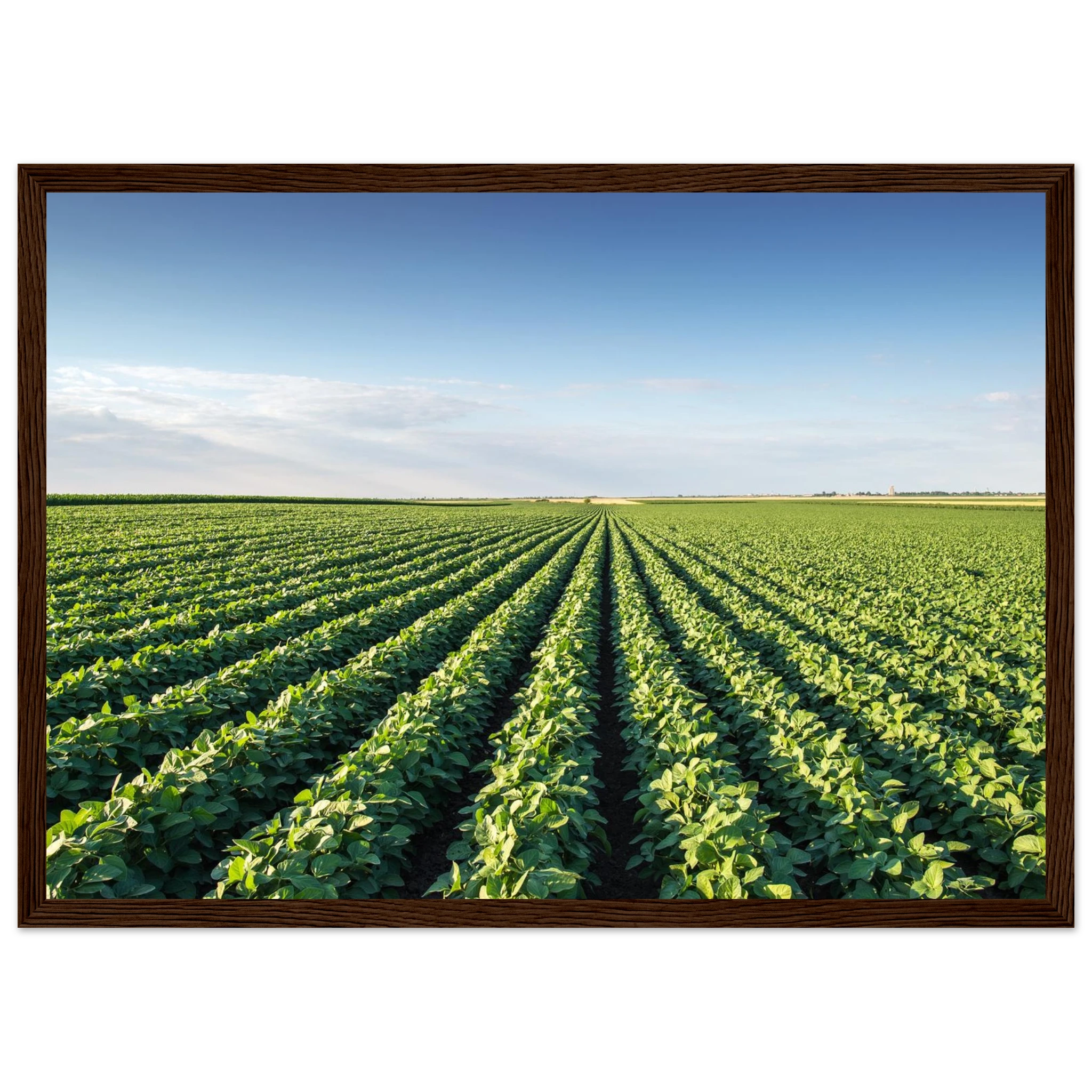 1c2987e5-5b5f-47c9-b5b6-590728618f23