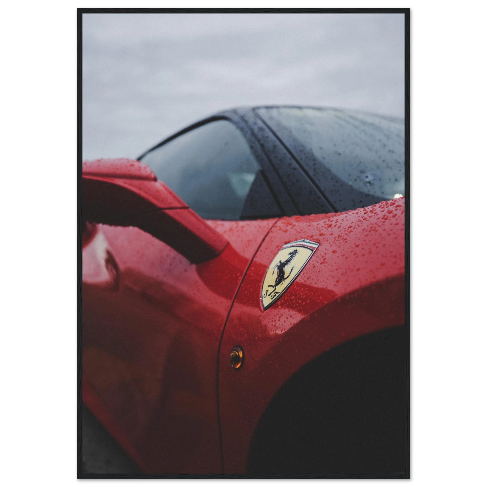 1c339b82-4d44-49df-966d-ccf993881368