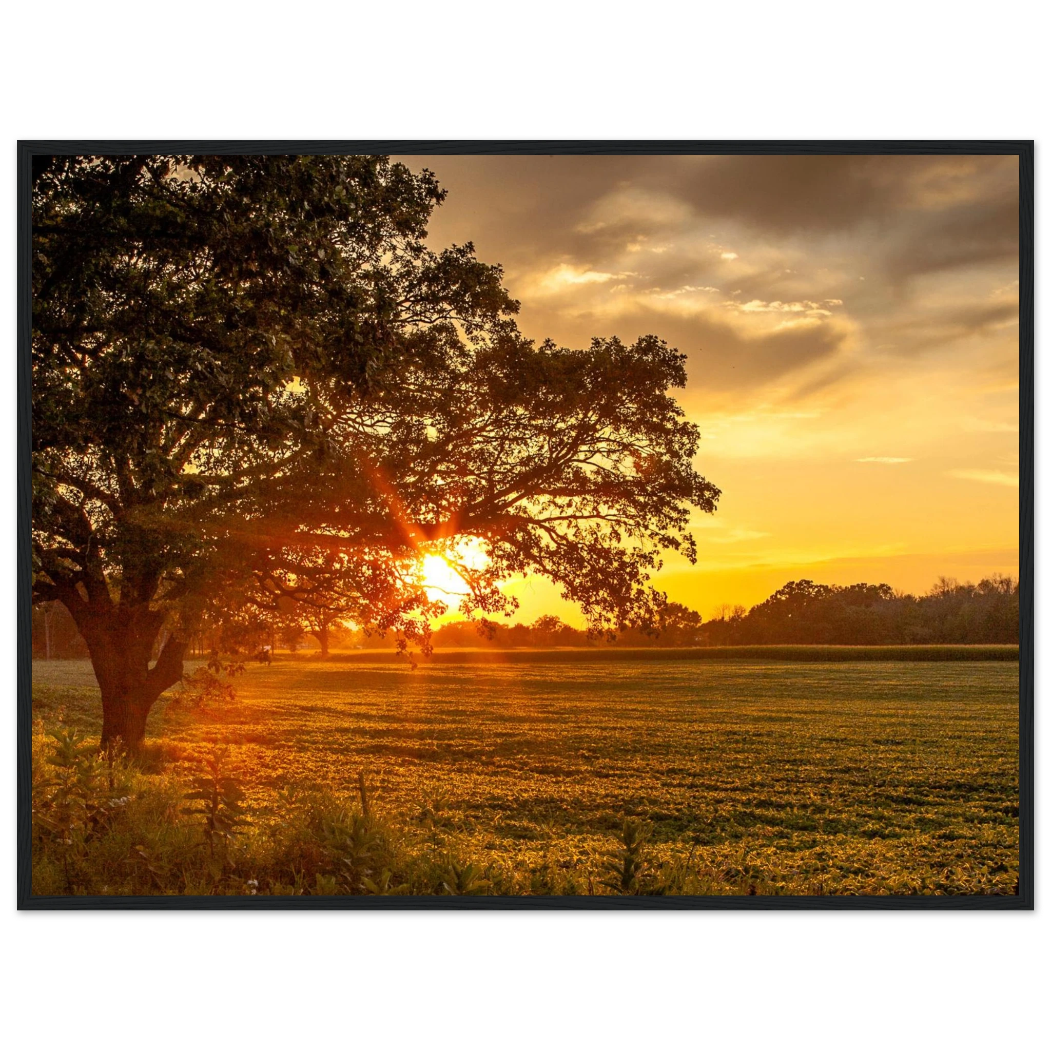 1c33e4d5-468c-4d08-b1e7-8fc35b521c31