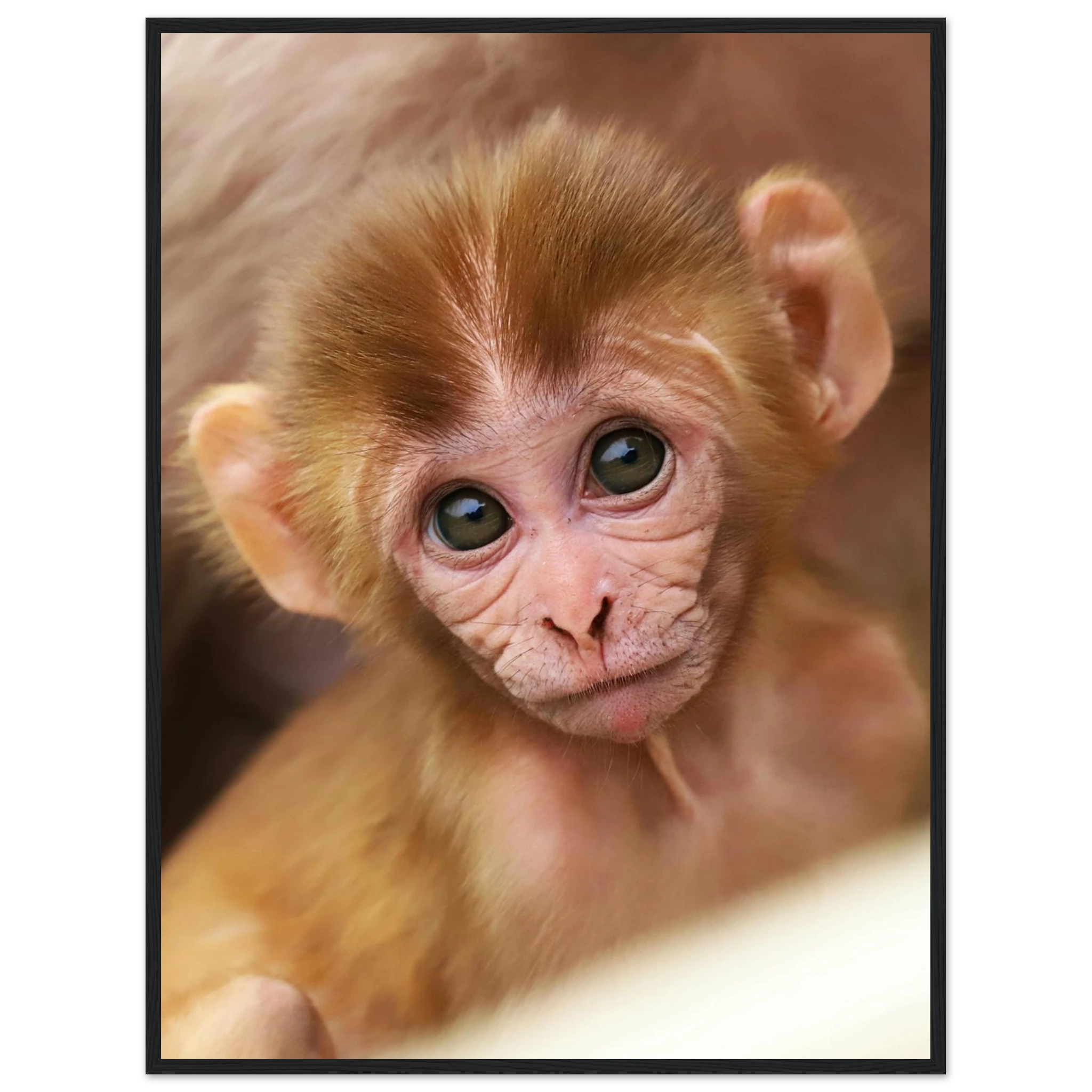 1c6d4e56-6c11-4796-96f4-2eb65e2284b2