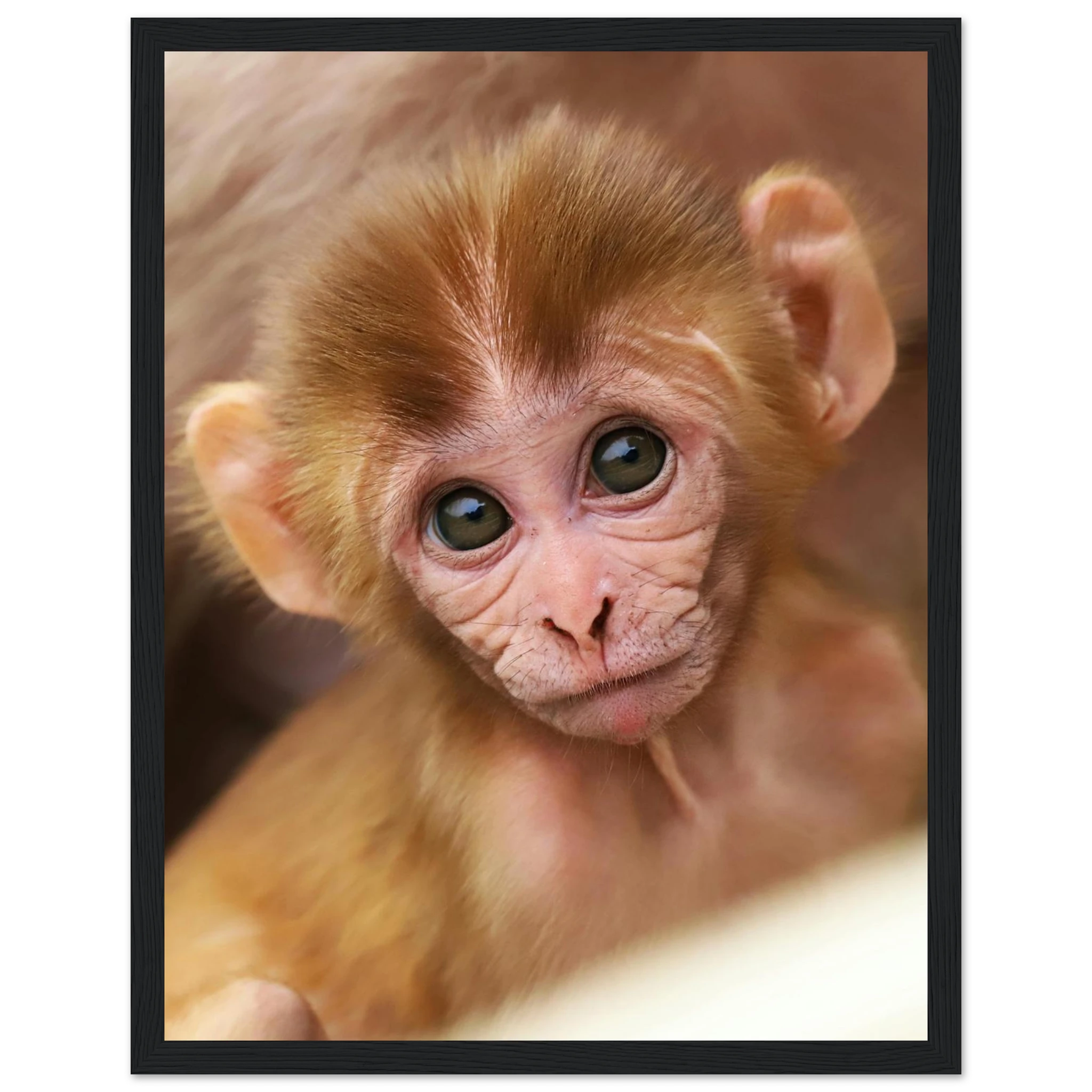 1c71398b-8de7-4963-acfb-ca5f7e0e3879