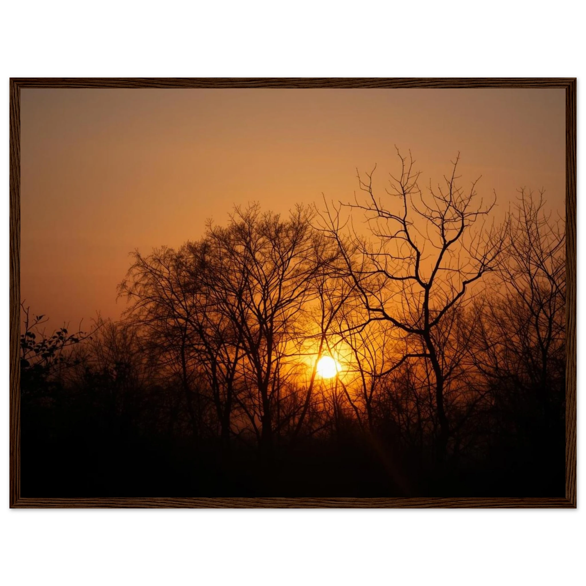 1c7a4356-23d7-4e0b-a069-5931a6b91f0d