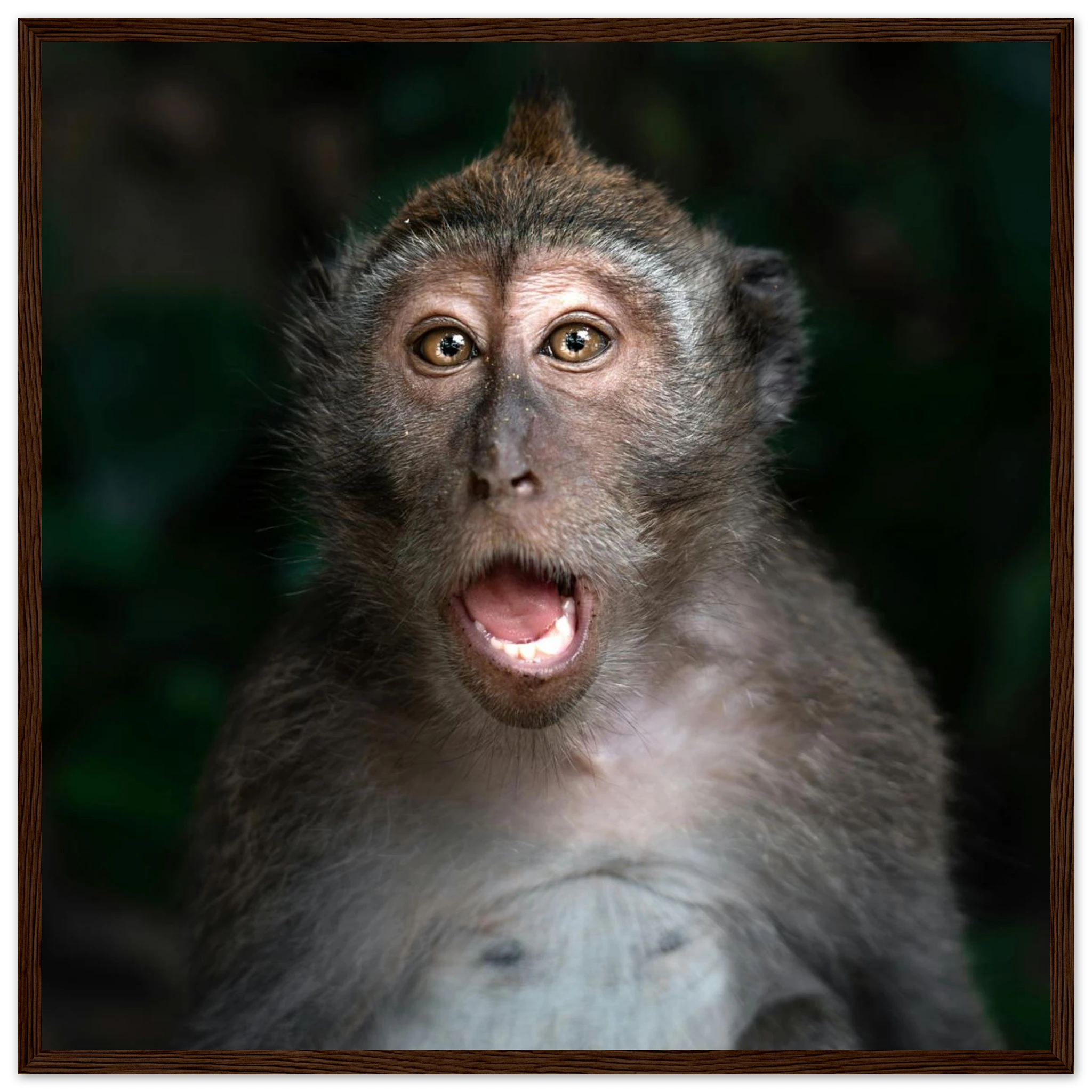 1c7b065f-b816-4791-ae3d-88952dd71520