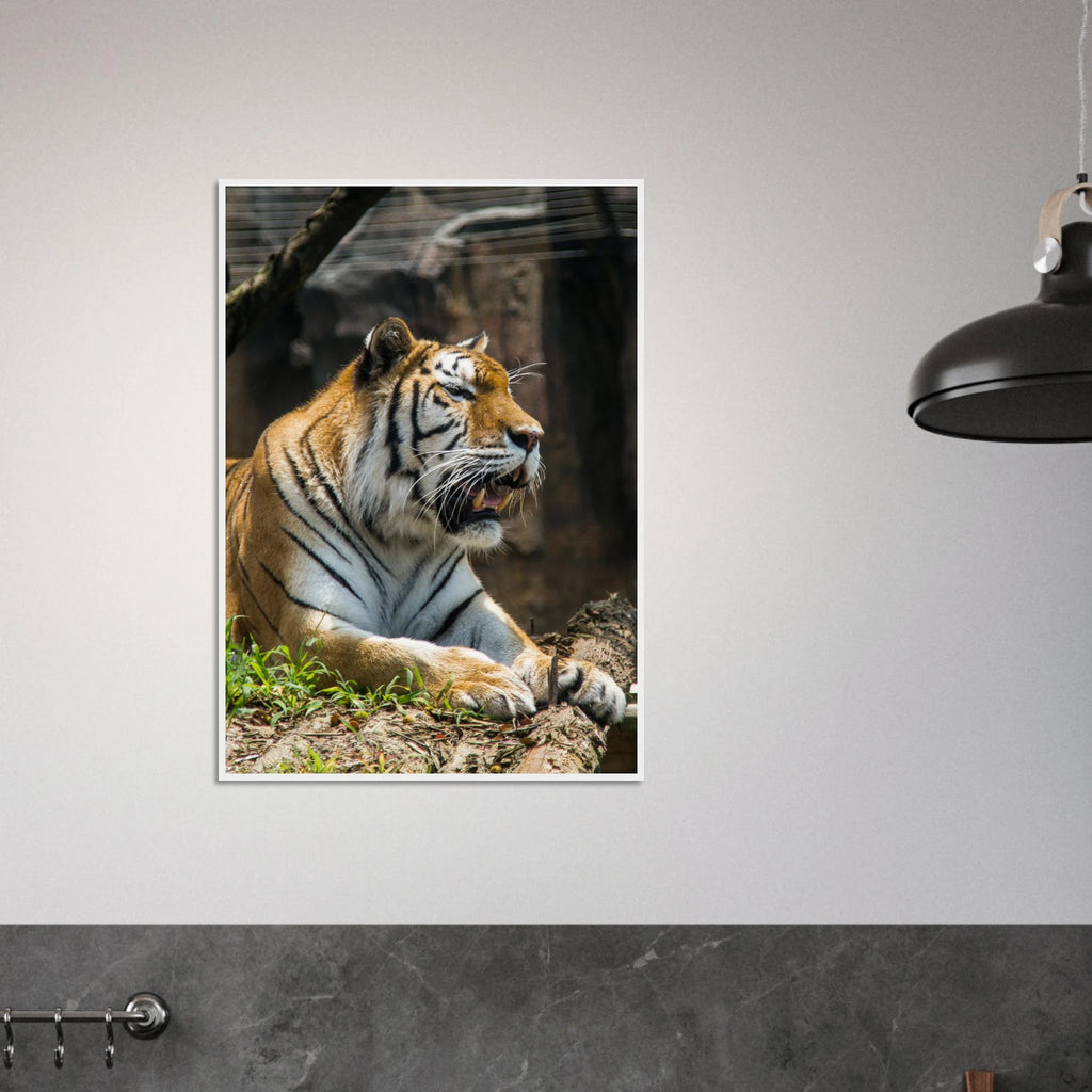 1c84e8d2-7745-4a5c-a9c2-45f1a66a4199