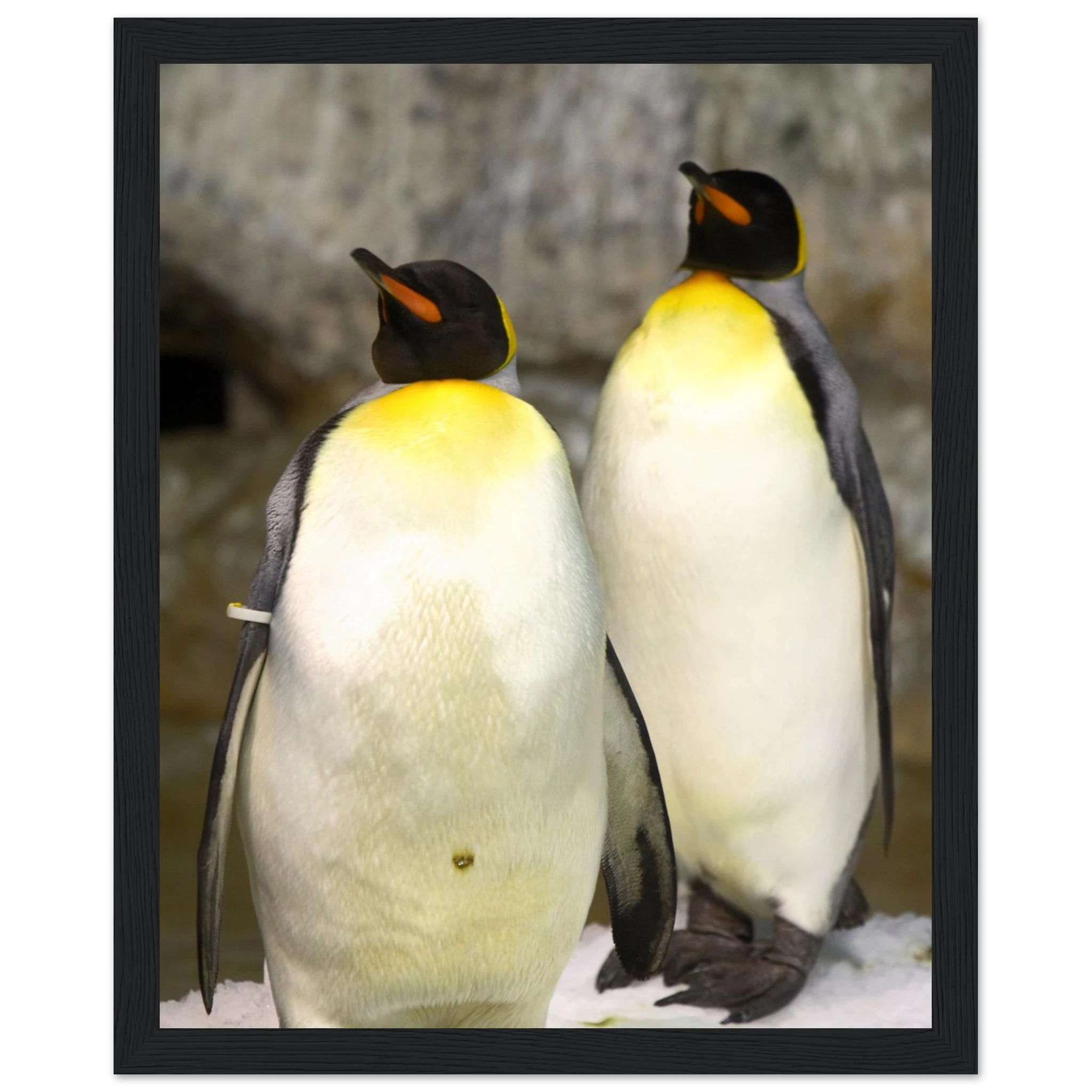 1c9adc39-4d65-4eec-9e10-674b92b4ef03