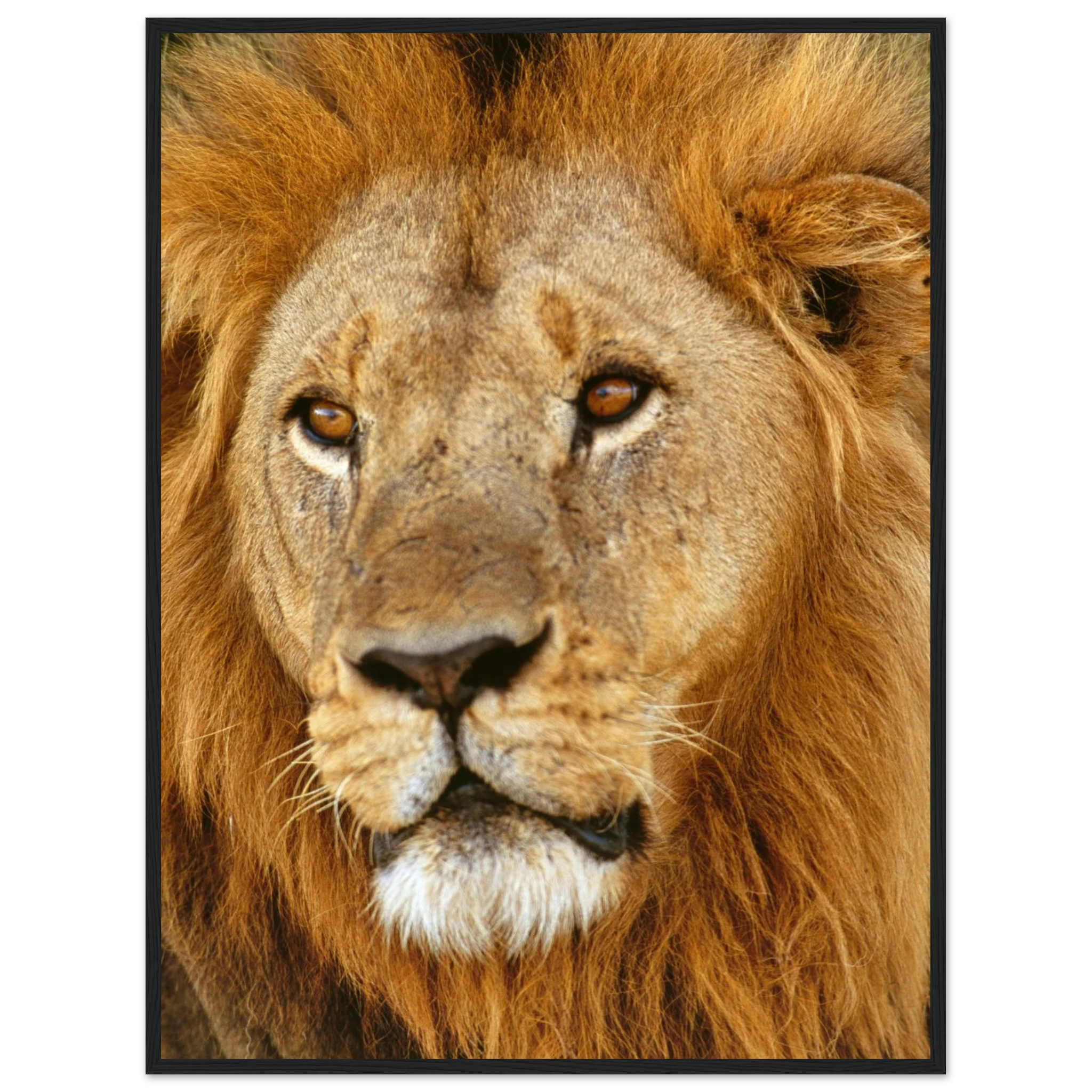 1c9f4b5f-7a24-45ca-8bc6-e6251e86b780