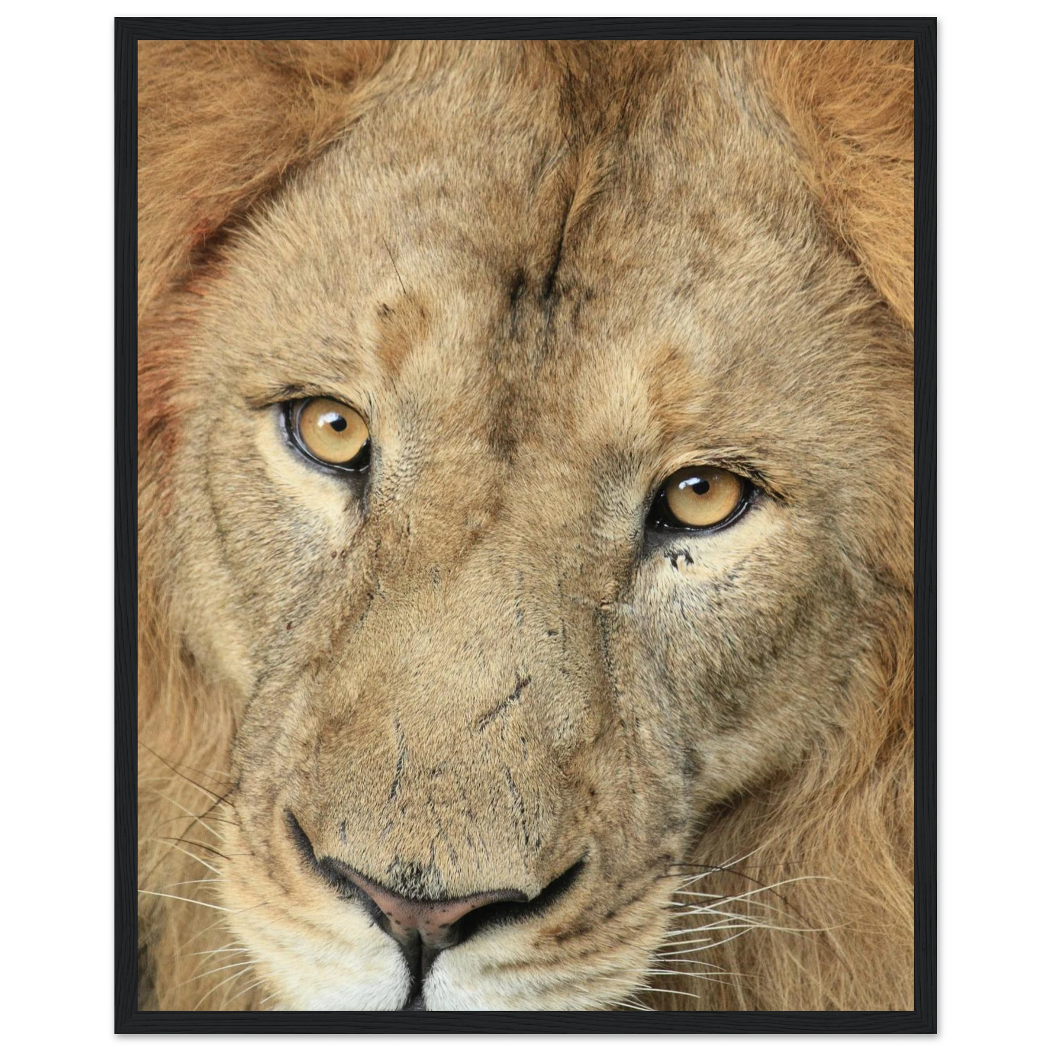 1ca8e1af-e70b-4fe4-a300-6328806a6117