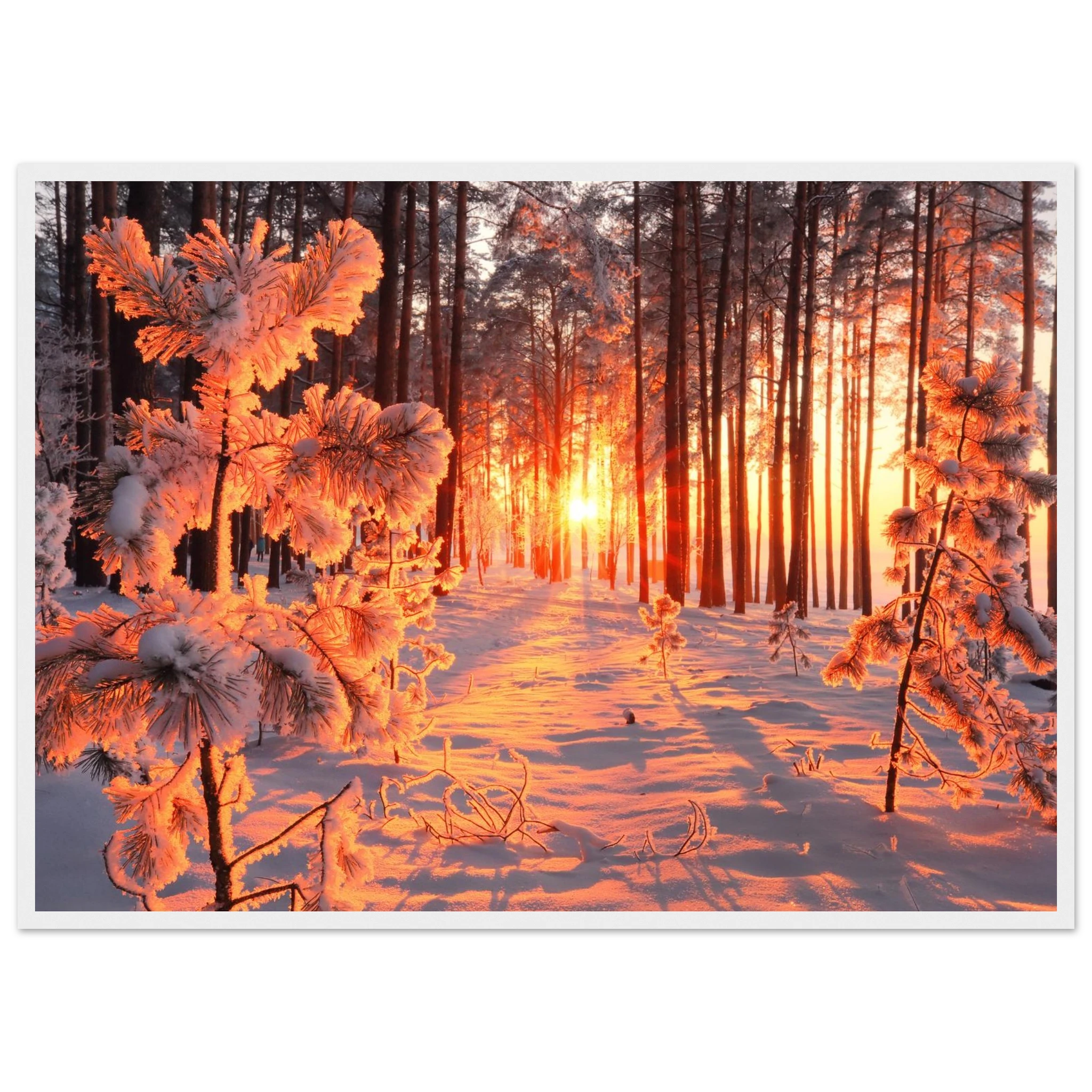 1cace809-a53e-4f24-a9d9-476c046a8937