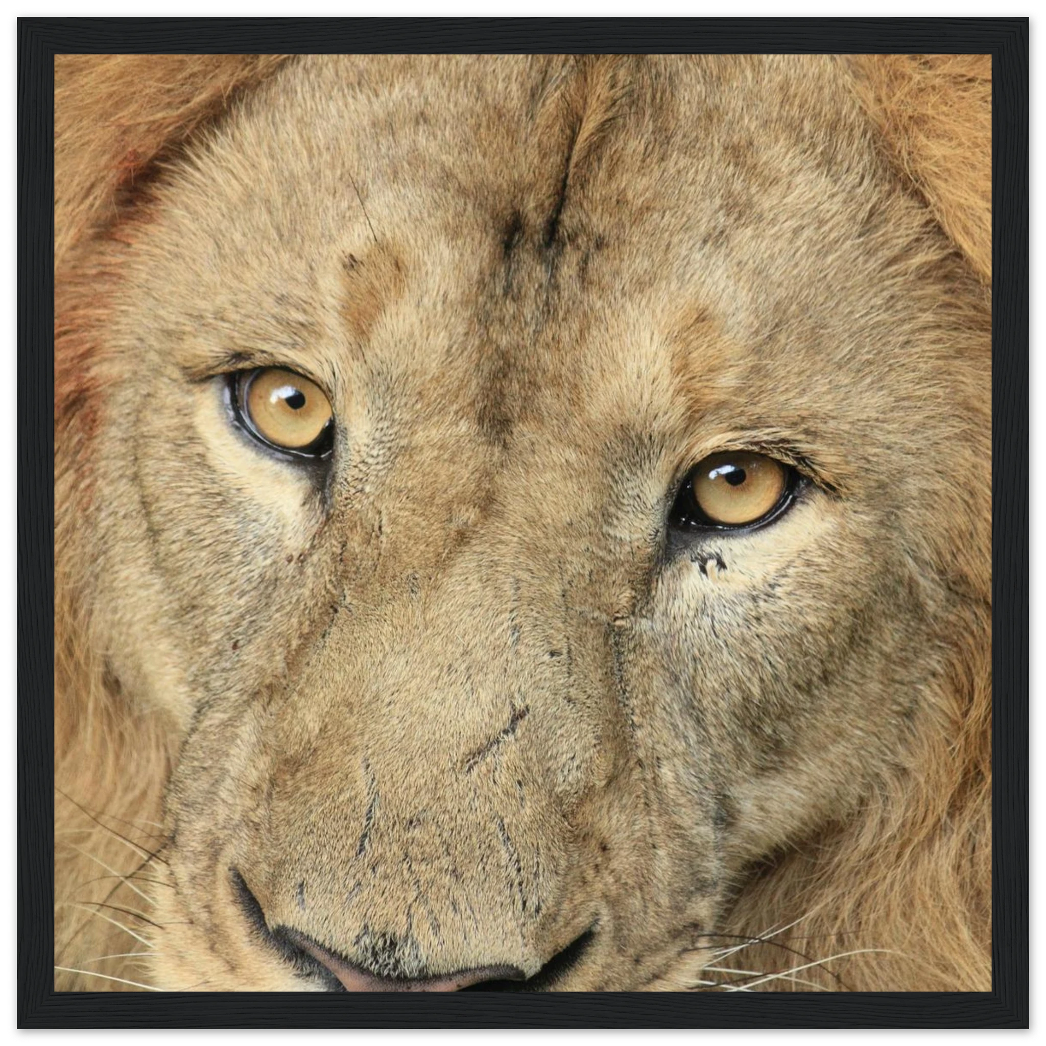 1cc489c4-82e6-4bf9-ab13-412d9743c7c6