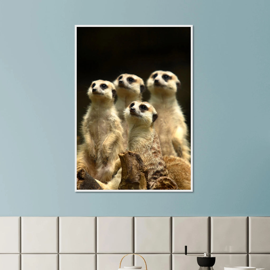 1cc86643-9671-472b-abcd-20dd775c1d68