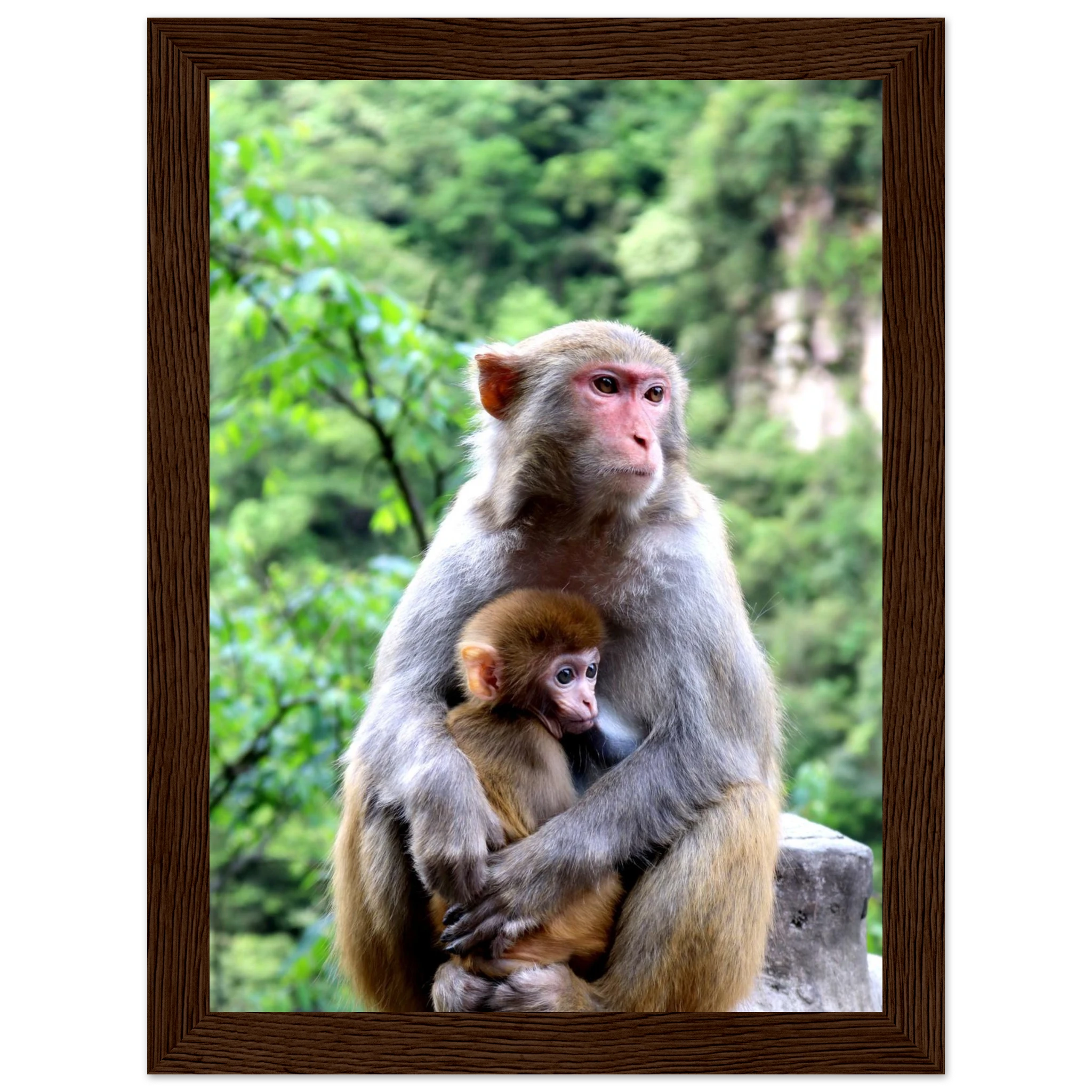 1cdda9f8-b2ed-4ff6-a685-9f80337e6a40