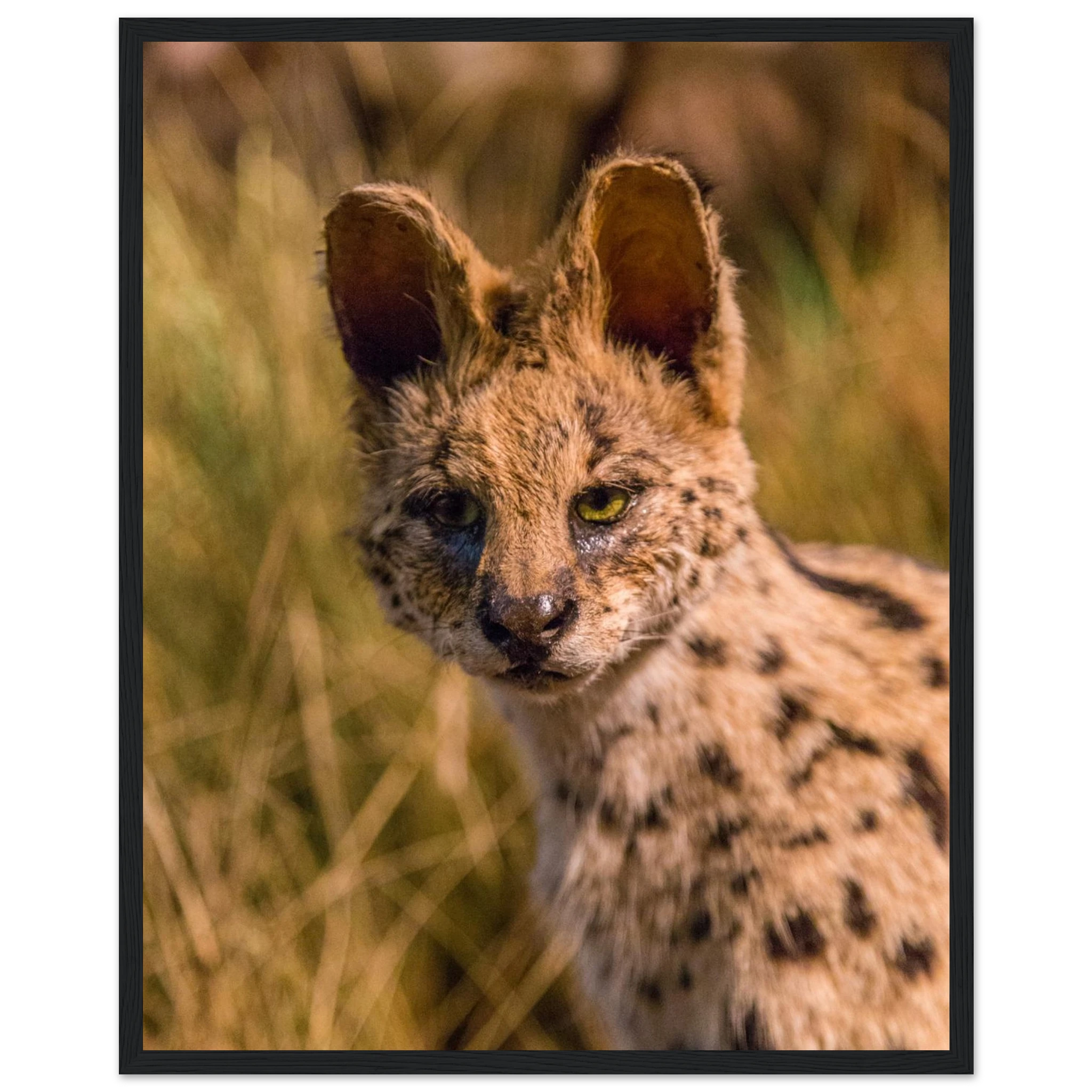 1ce84ec4-ed4c-4879-a20a-a677b567b3ae