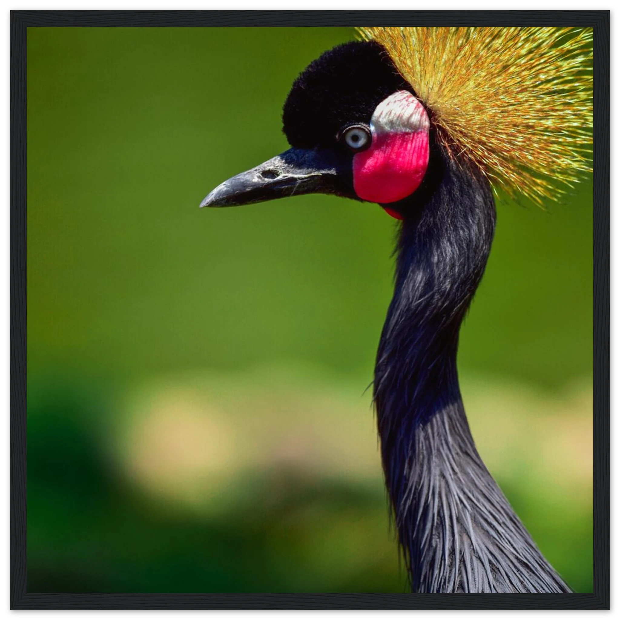 1ceb8db3-d5c8-4166-8659-eb1eac84db80