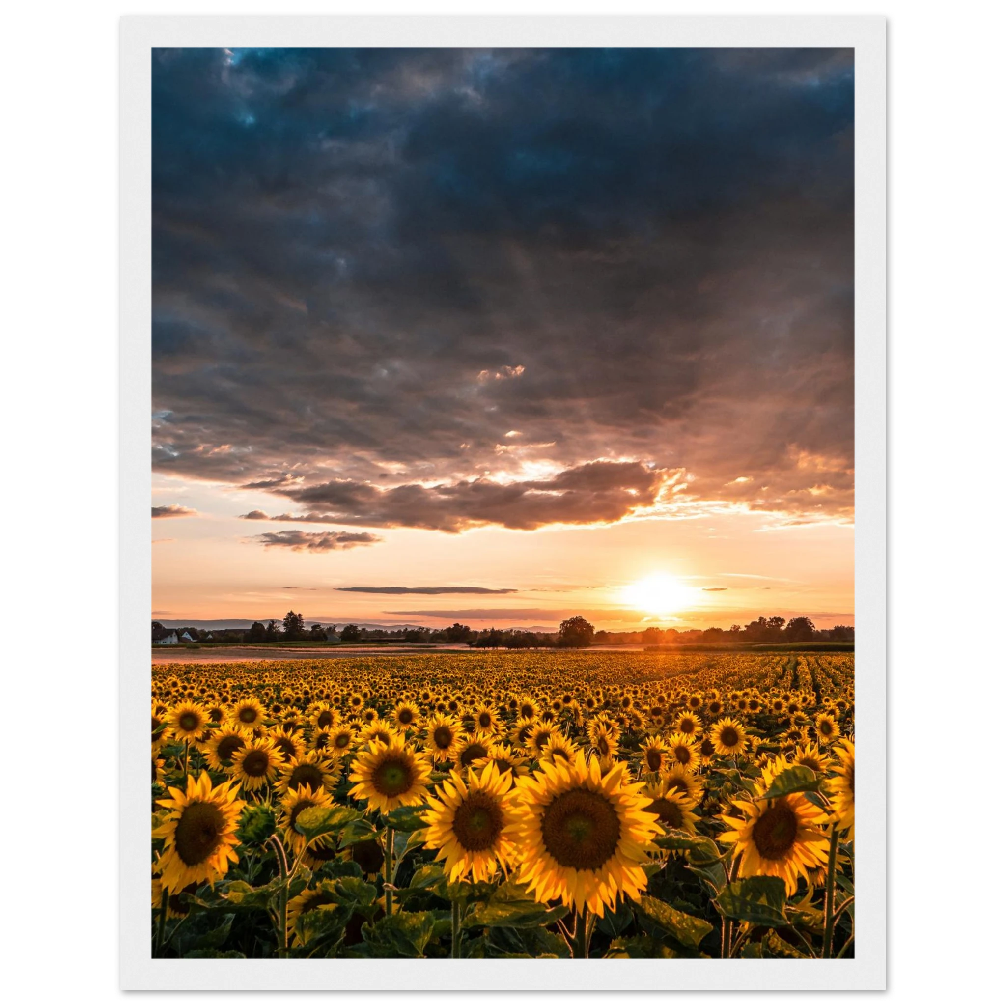 1cf8e502-c2cc-4022-a3d4-040acc0482e3