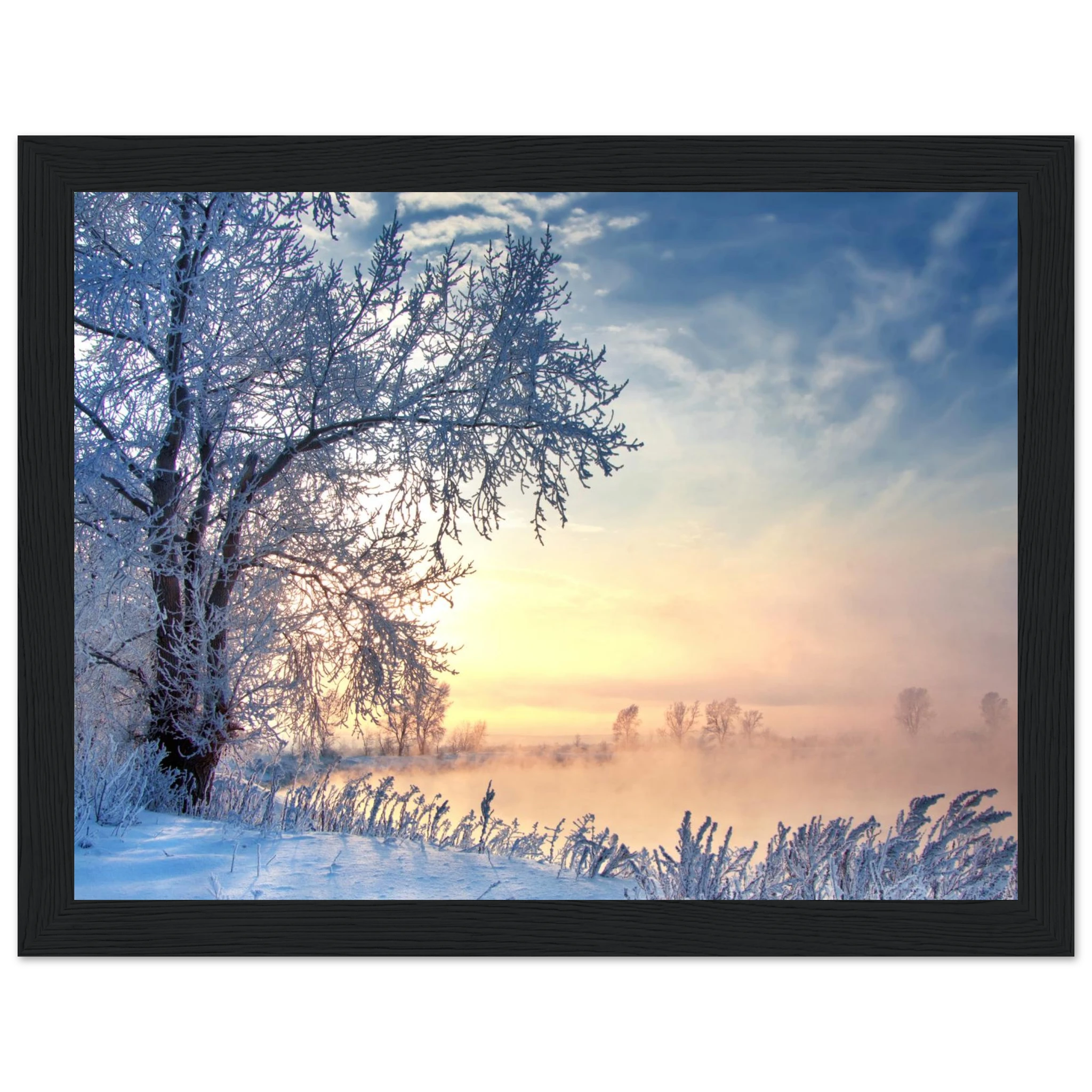 1d0d32be-5cc0-4af2-8855-b77761cb1058