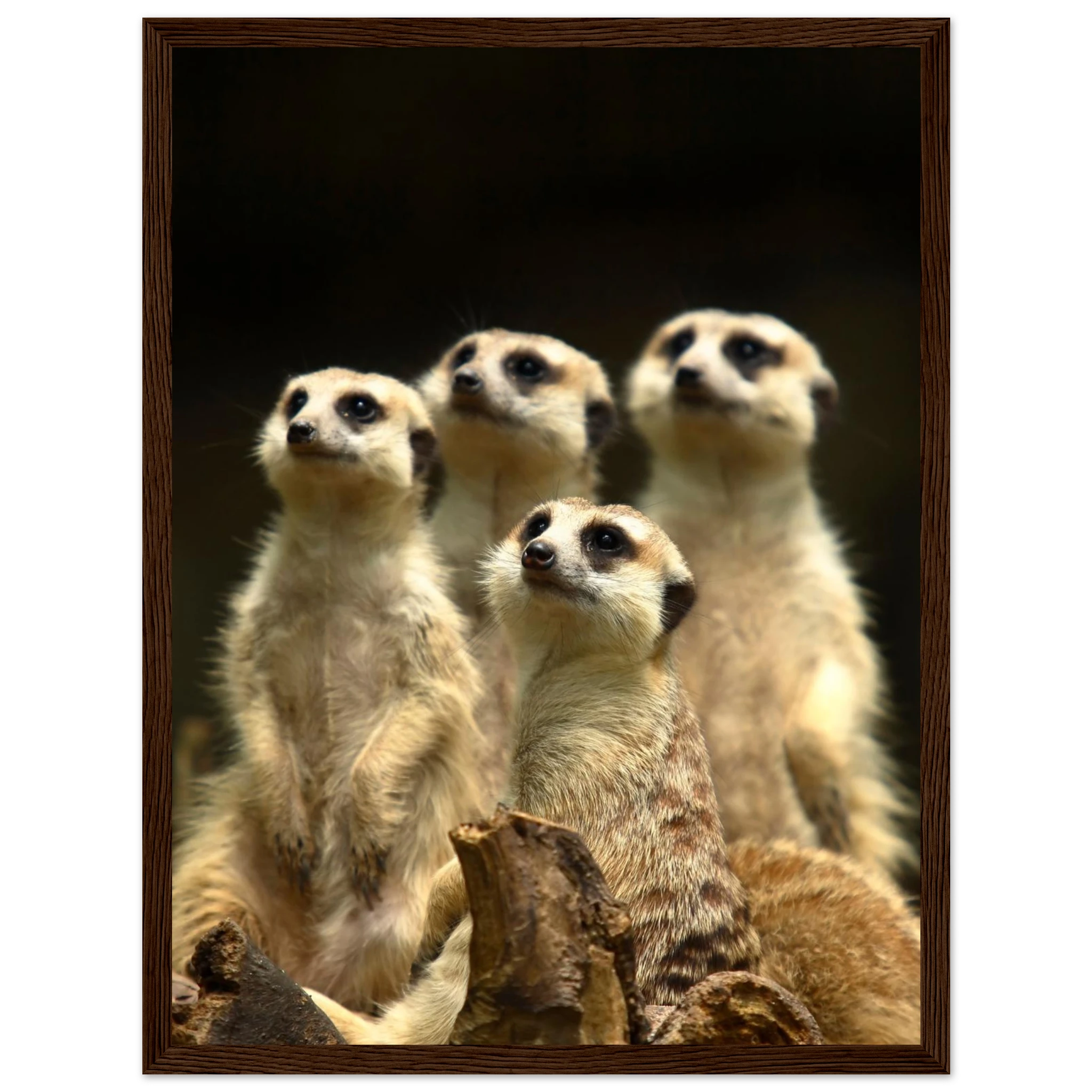 1d1c837f-a53f-4813-a7f8-edc8130b48ee